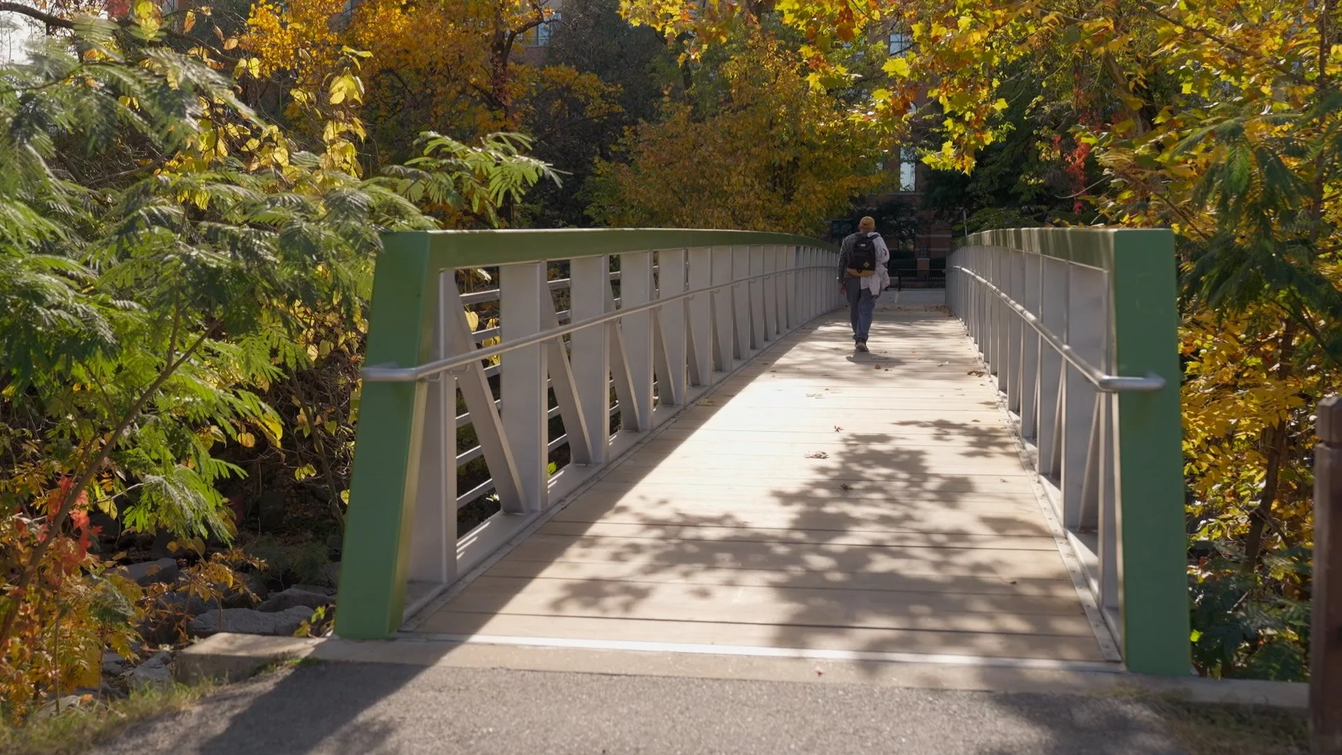 IYLH_412_S Arlington_1.62.1.jpg