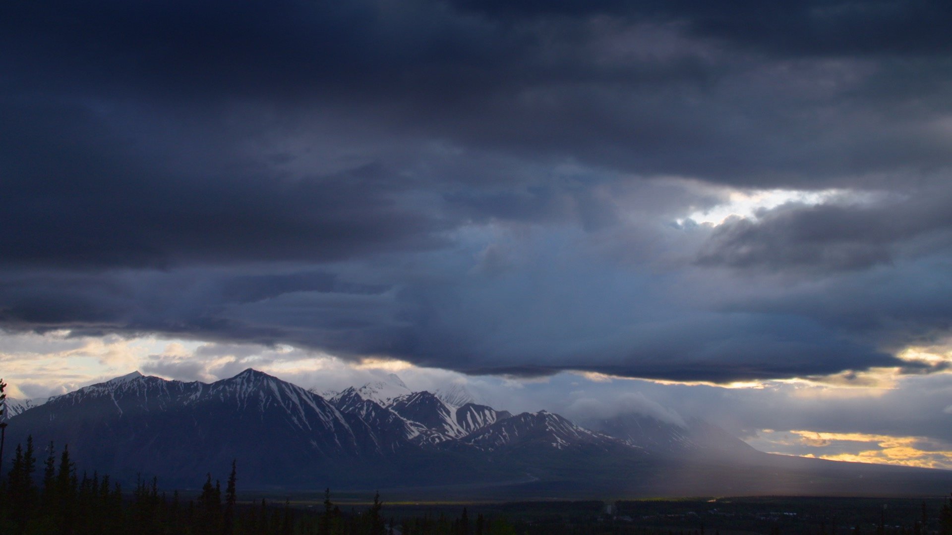 YukonVet_S3__1.2.3.jpg