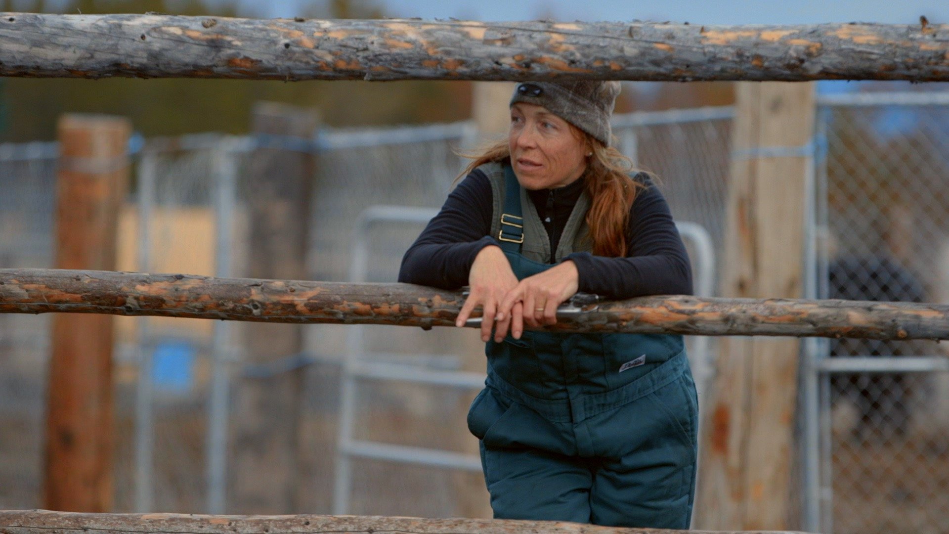 YukonVet_S3__1.1.2.jpg