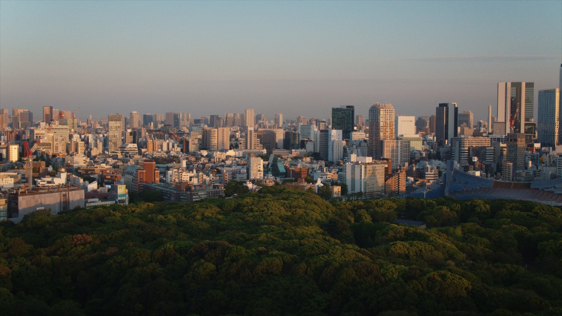 NST_Tokyo_1.19.1.jpg