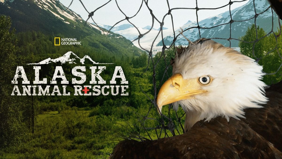 AlaskaAnimalRescue_Card.jpeg