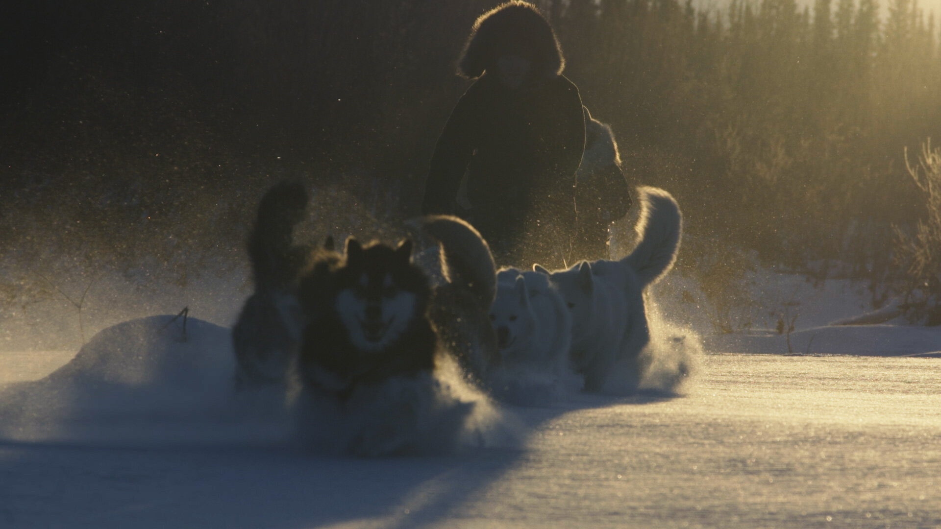 TheLastAlaskans_1.1.8.jpg