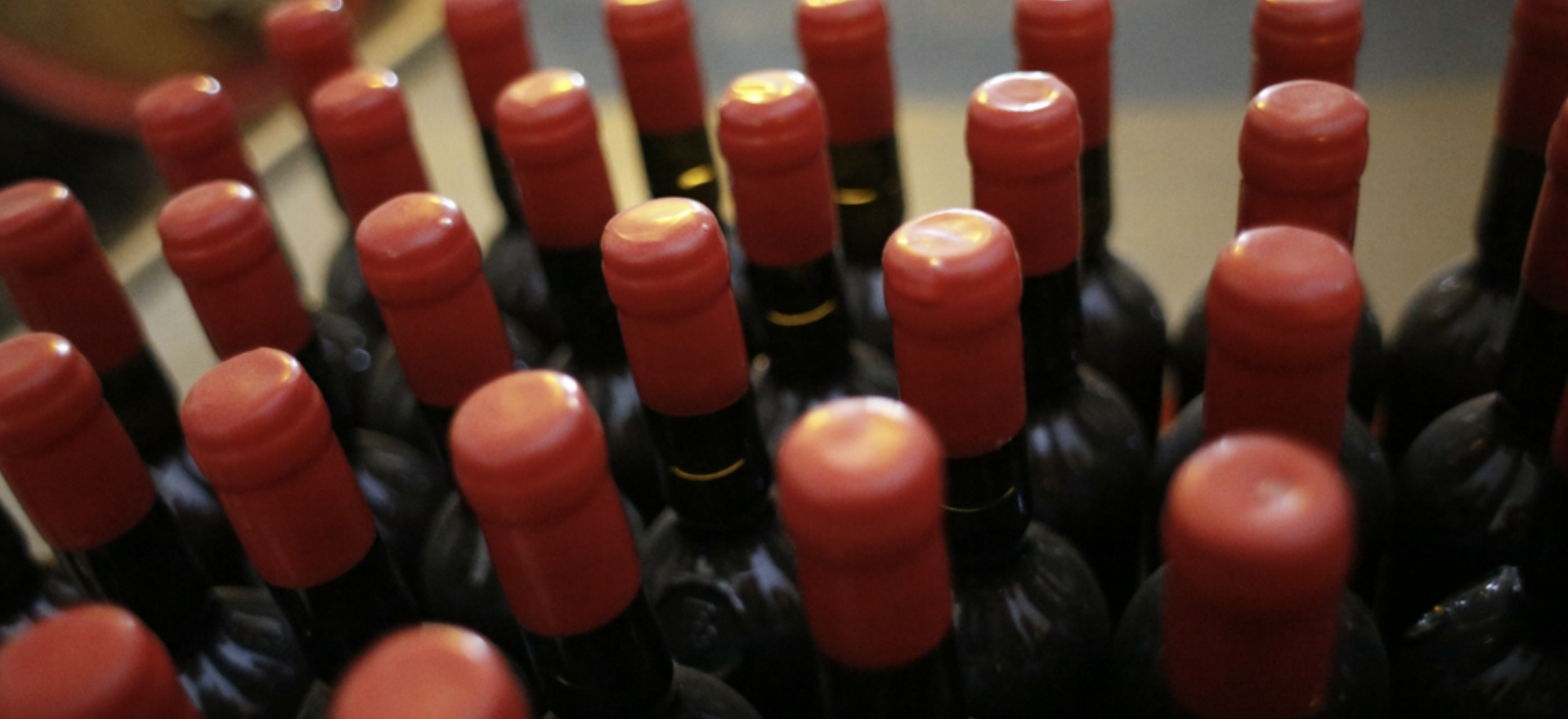 Screen Shot 2021-12-22 at 1.08.16 PM.png