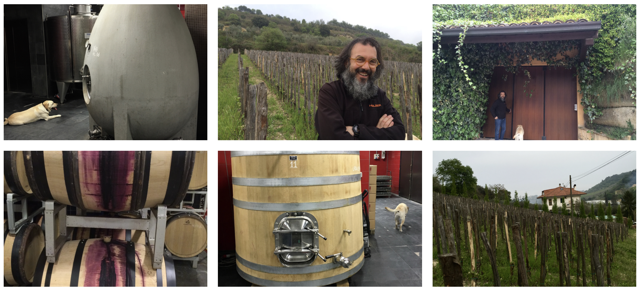 Producer Profile: Oasi degli Angeli