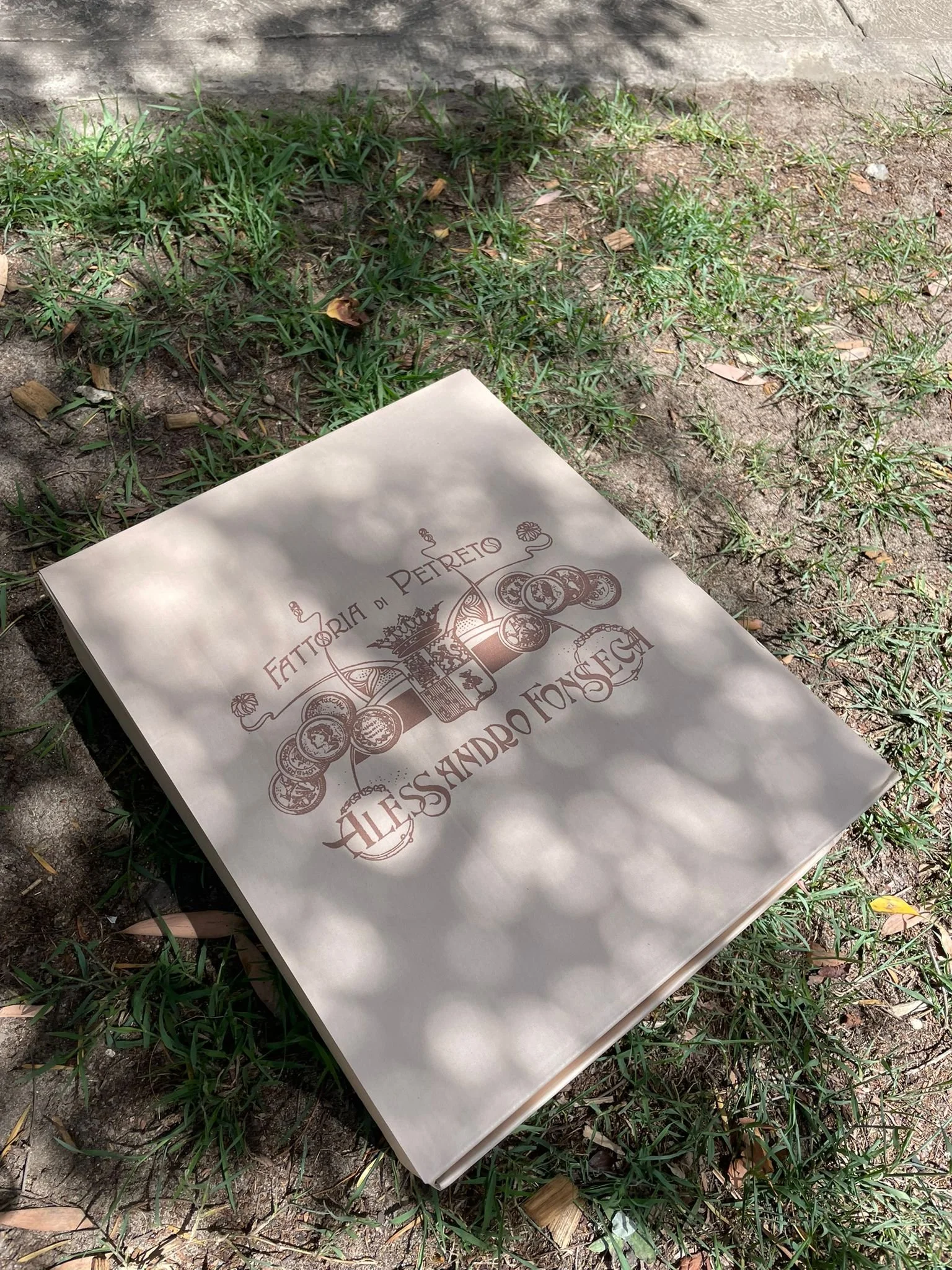 WhatsApp Image 2026-01-28 at 11.49.25 AM (1).jpeg