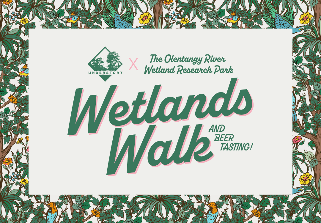 Wetlands&nbsp;Walk + Beer Tasting