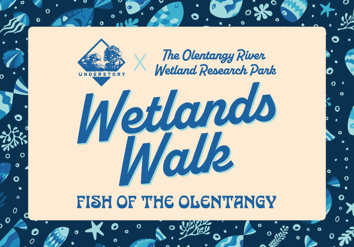 Wetlands Walk Plates &amp; Pours: Fish of the Olentangy