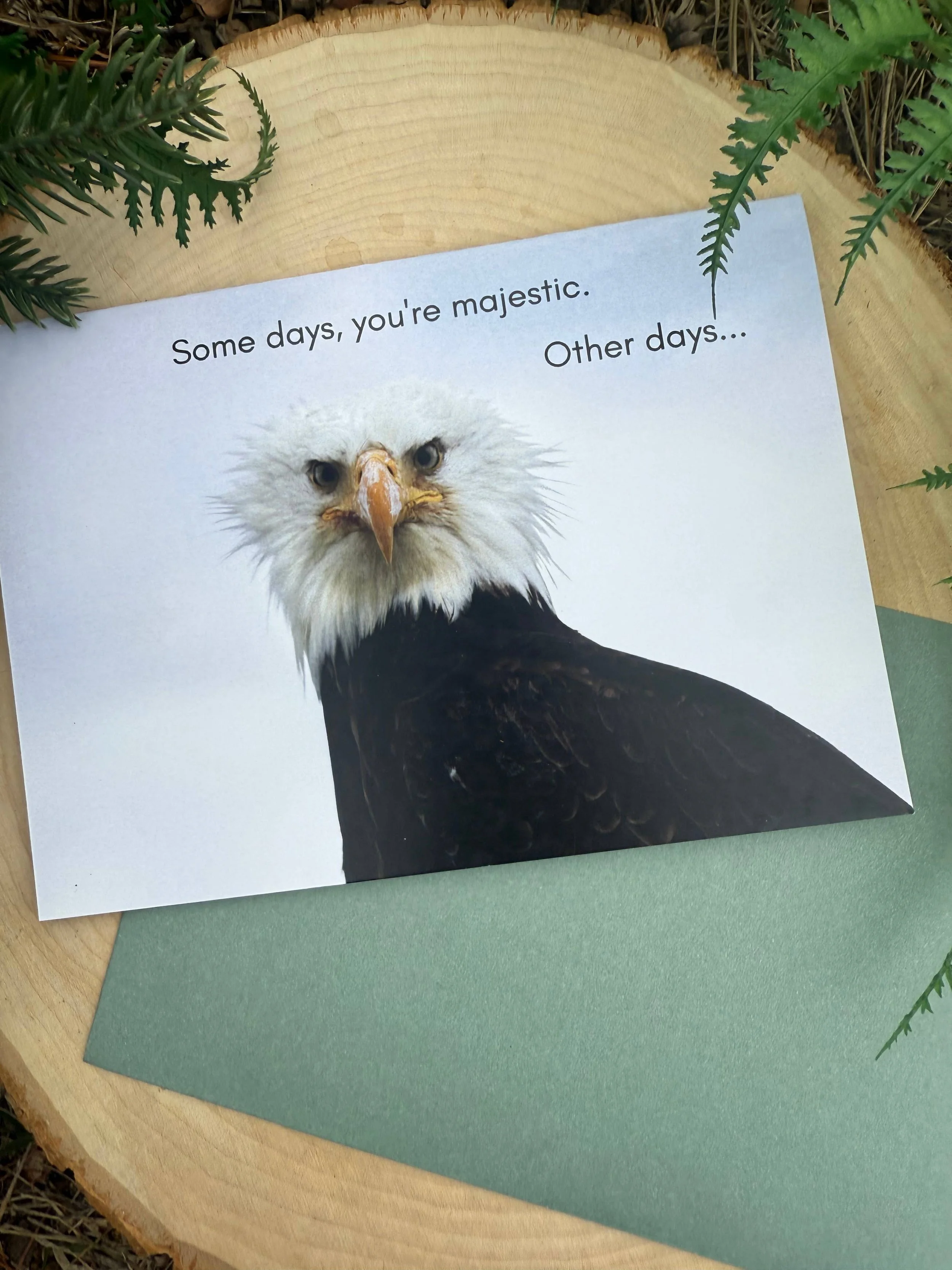 Encouraging and Funny Eagle Greeting Card for Coffee Lovers