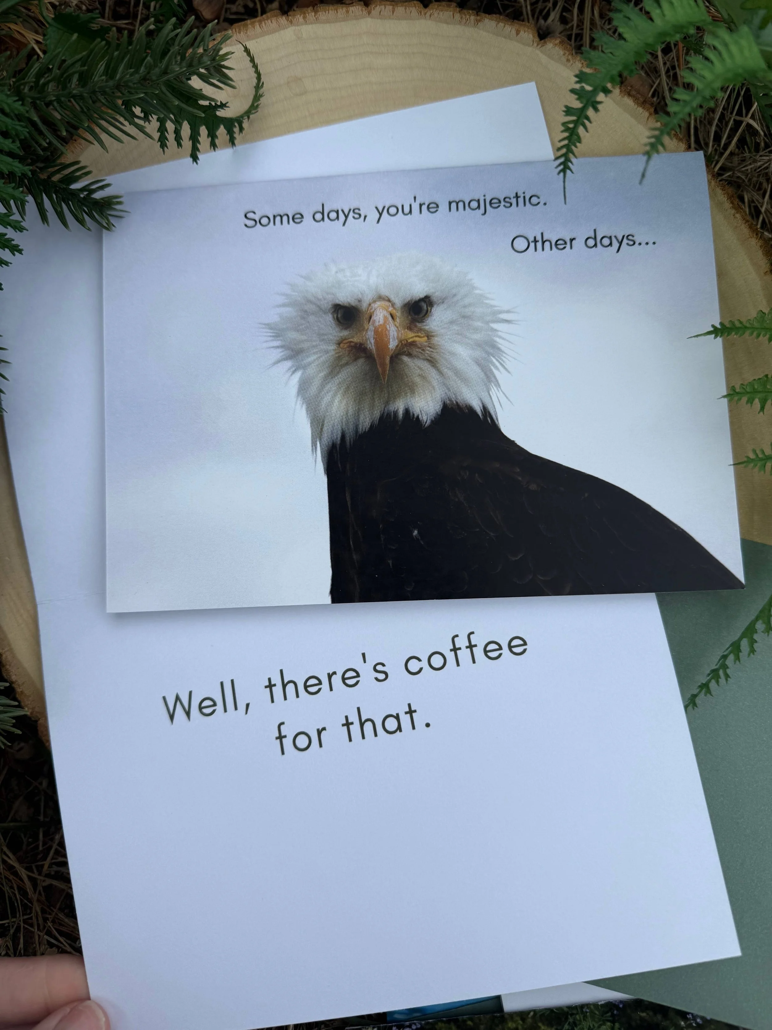 Each card is 5" x 7" and comes with a green, self-sealing envelope