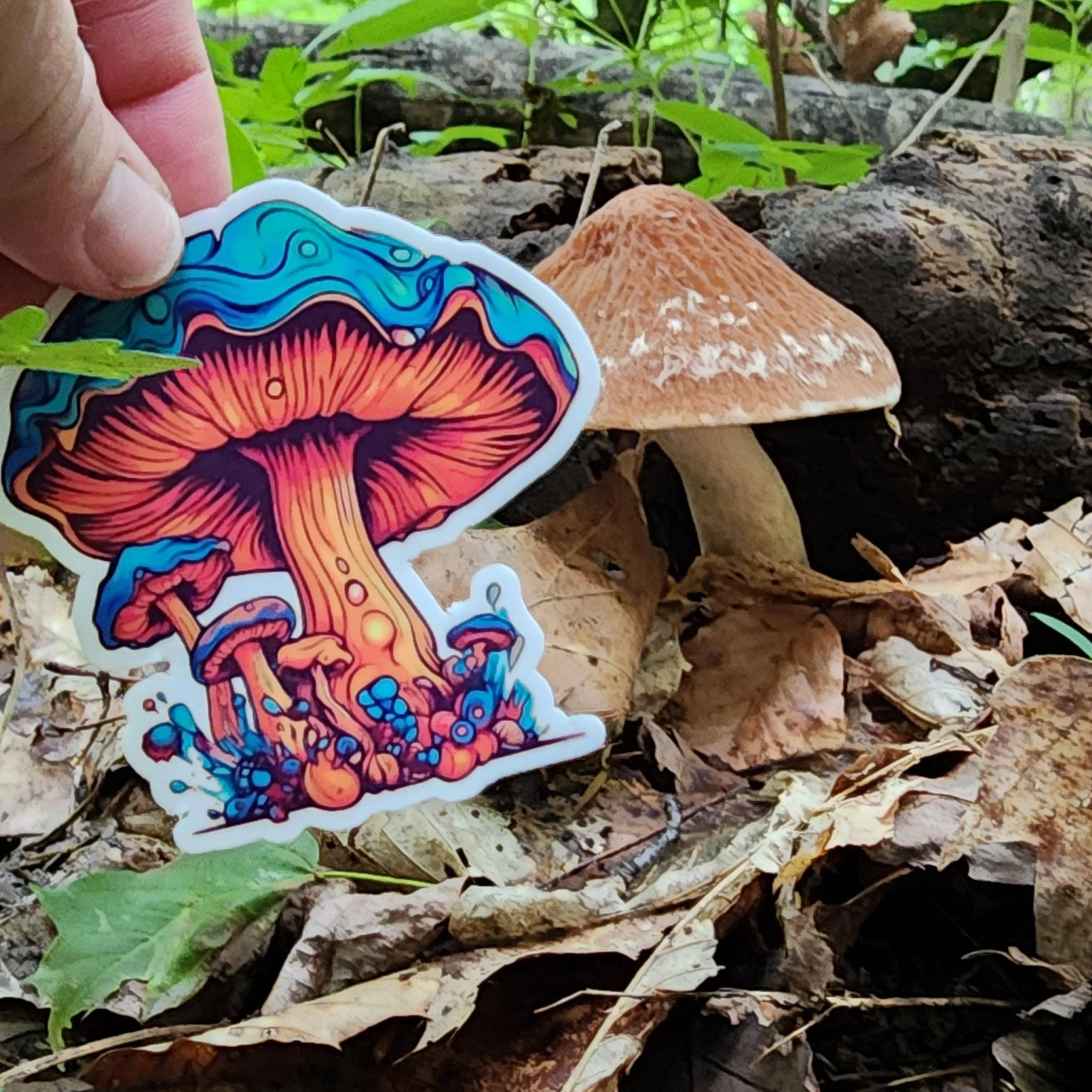 Vibrant Colorful Mushroom 3" Vinyl Sticker