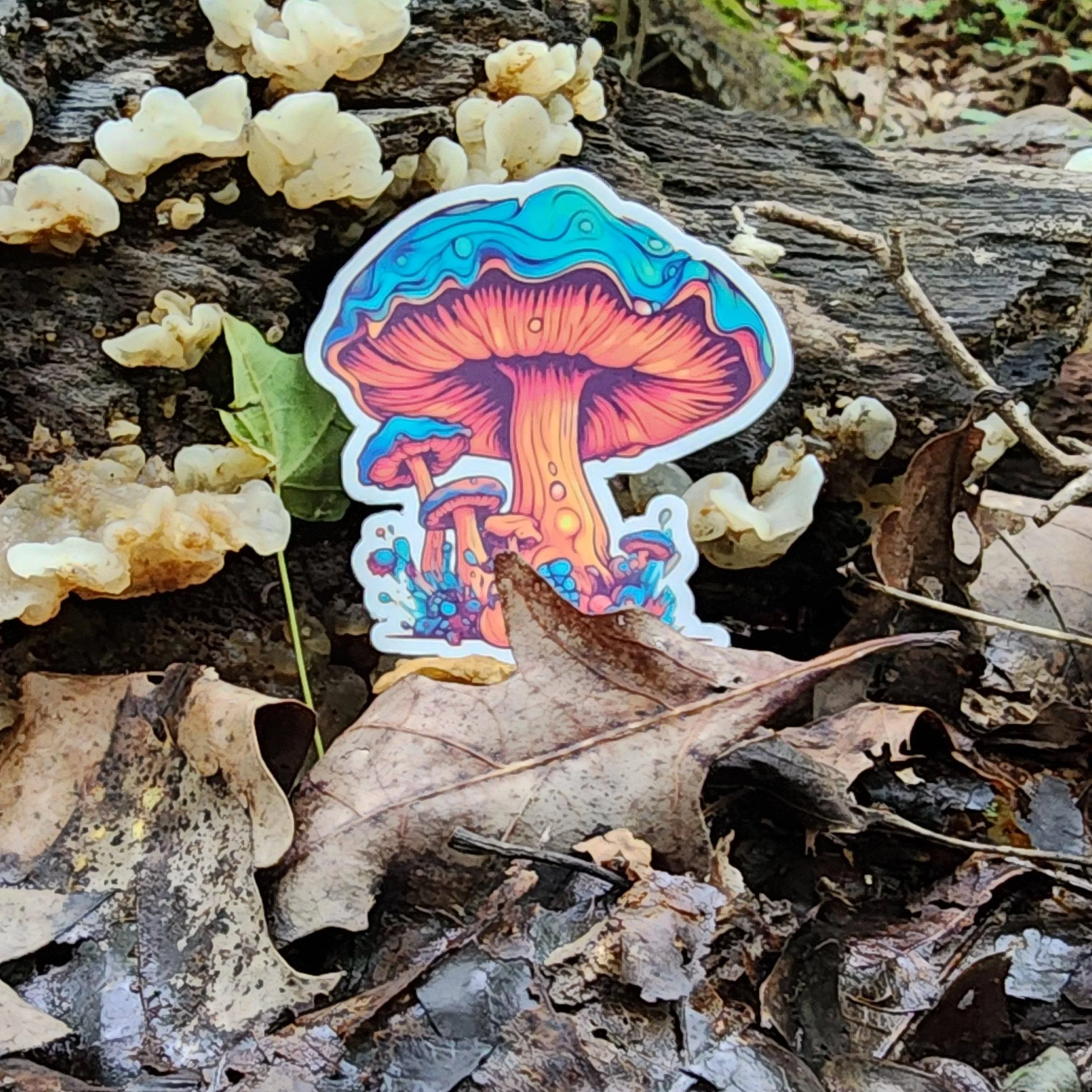 Vibrant Colorful Mushroom 3" Vinyl Sticker