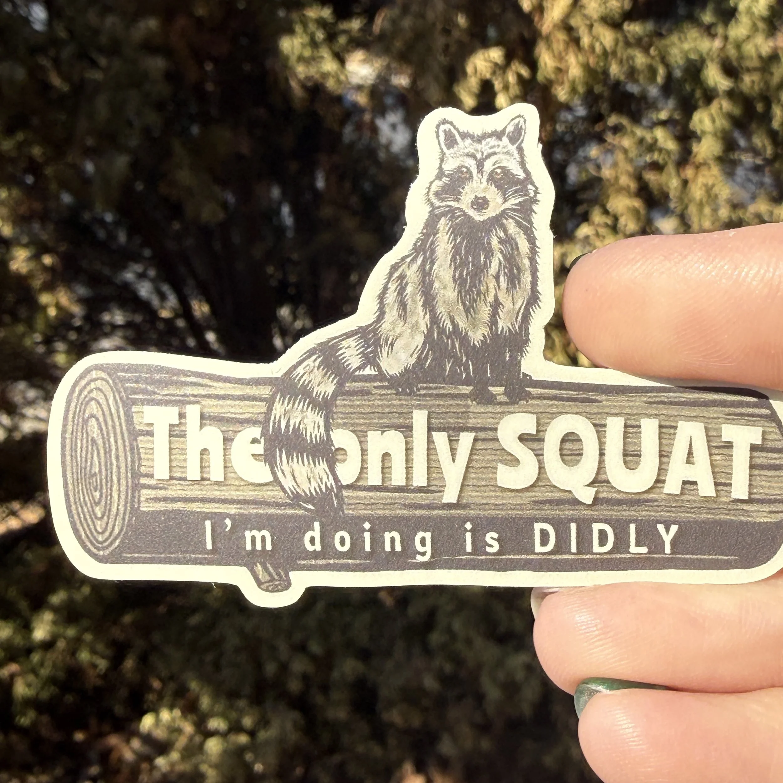 Vinyl raccoon sticker with sarcastic fitness humor quote and outdoor theme