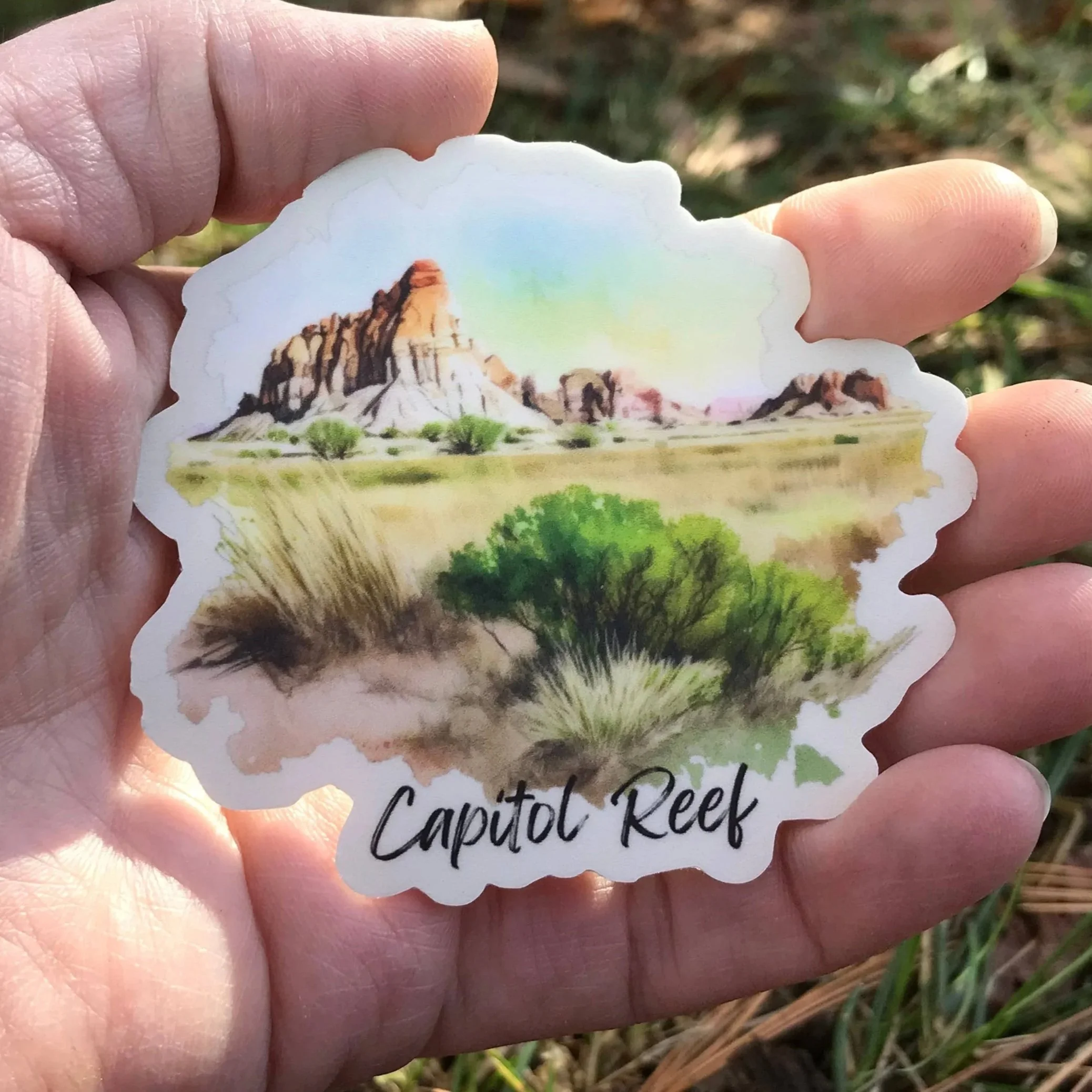 Capitol Reef Vinyl Sticker in the palm of a hand