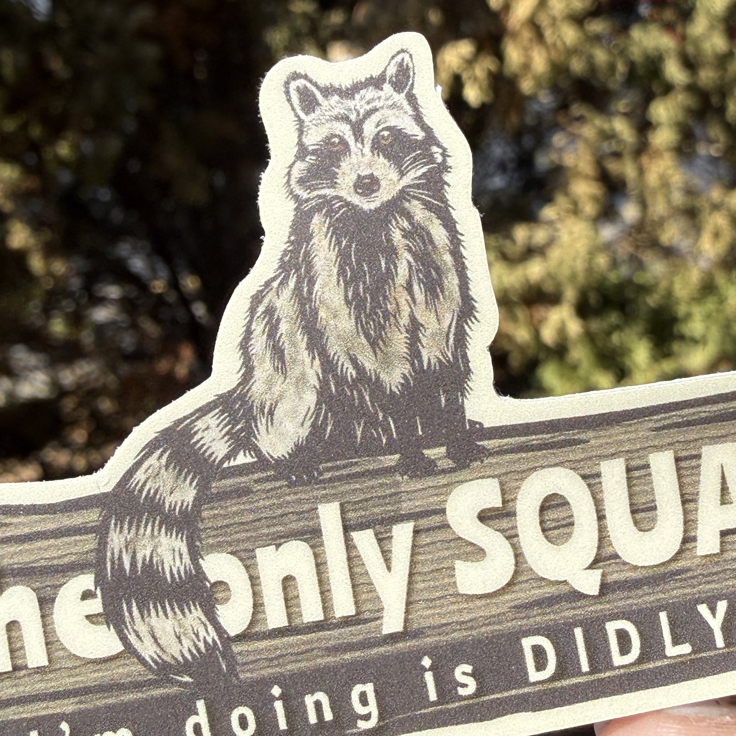 Vinyl raccoon sticker Up Close