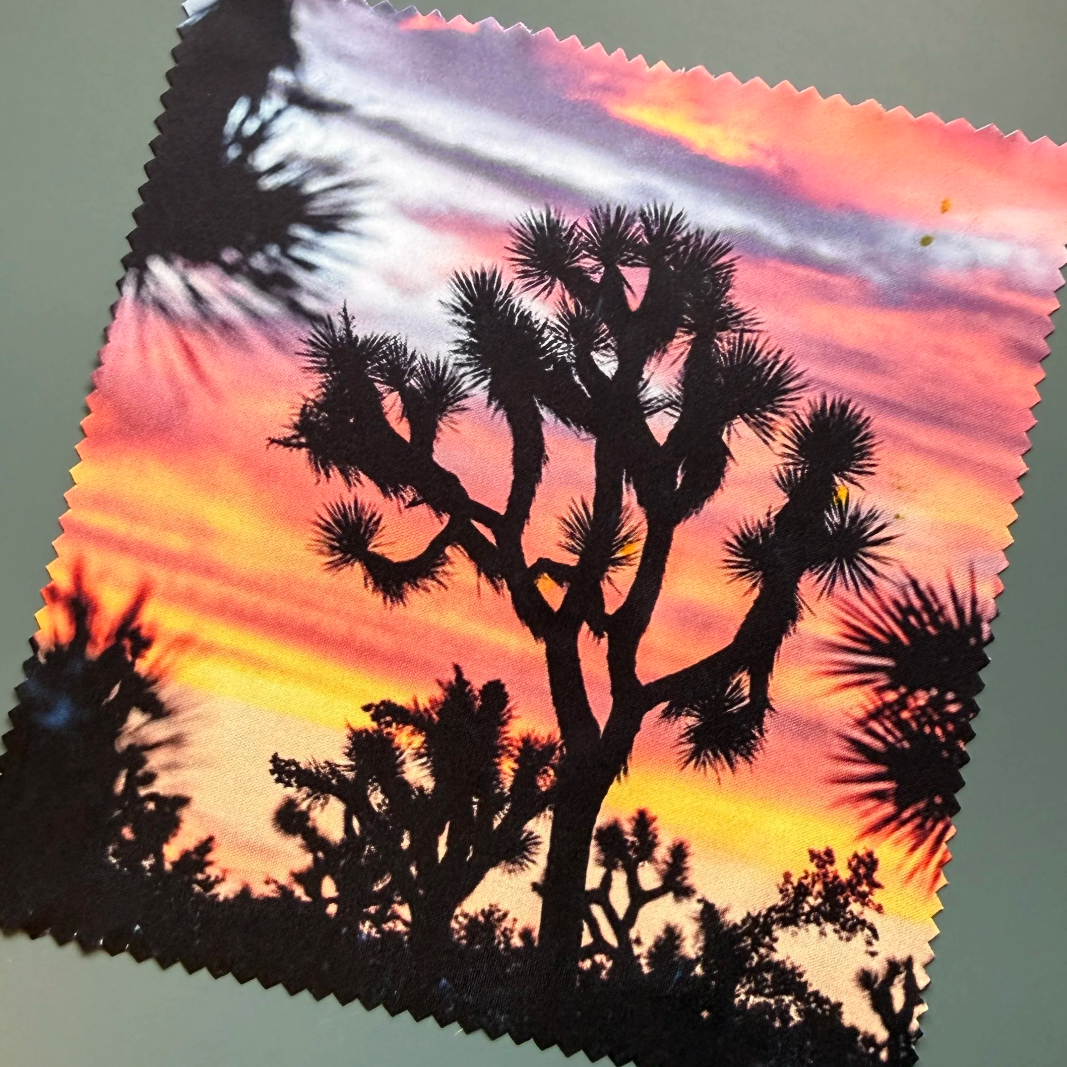 6 x 6 inch Joshua Tree Sunset