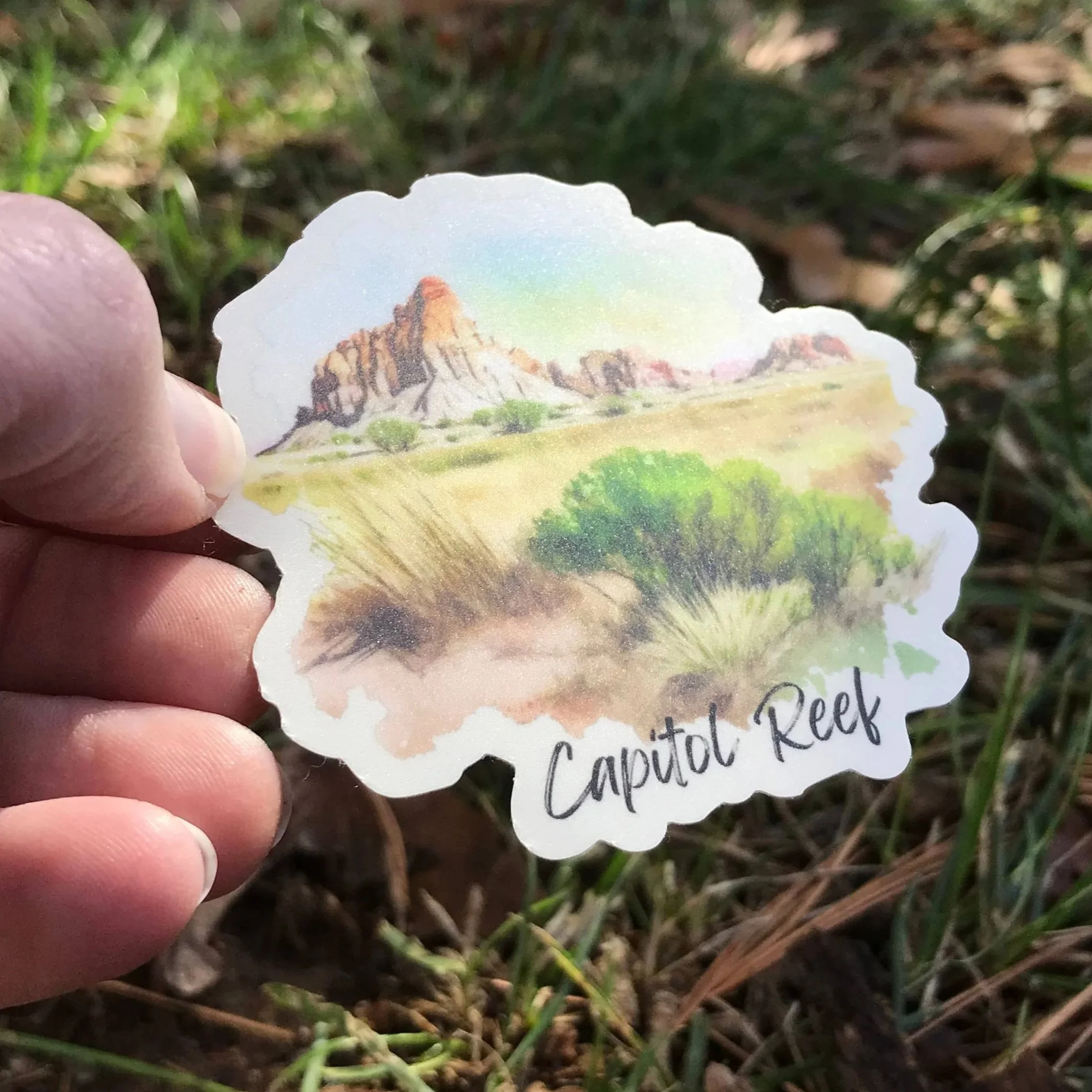 matte finish on the high-quality sticker