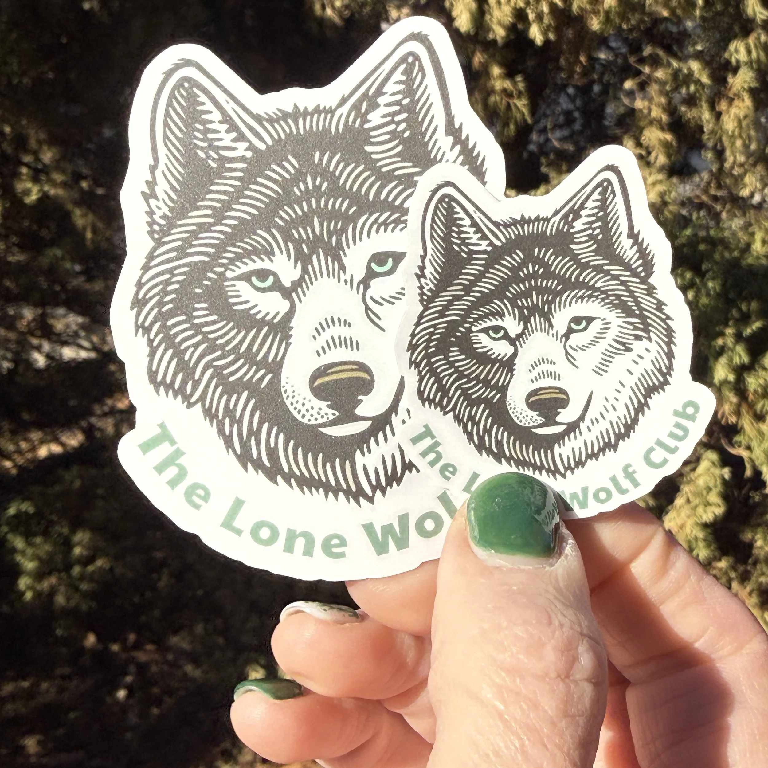 olf face vinyl sticker with the phrase Lone Wolf designed Vinyl Sticker in 2 inch and 3 inch size