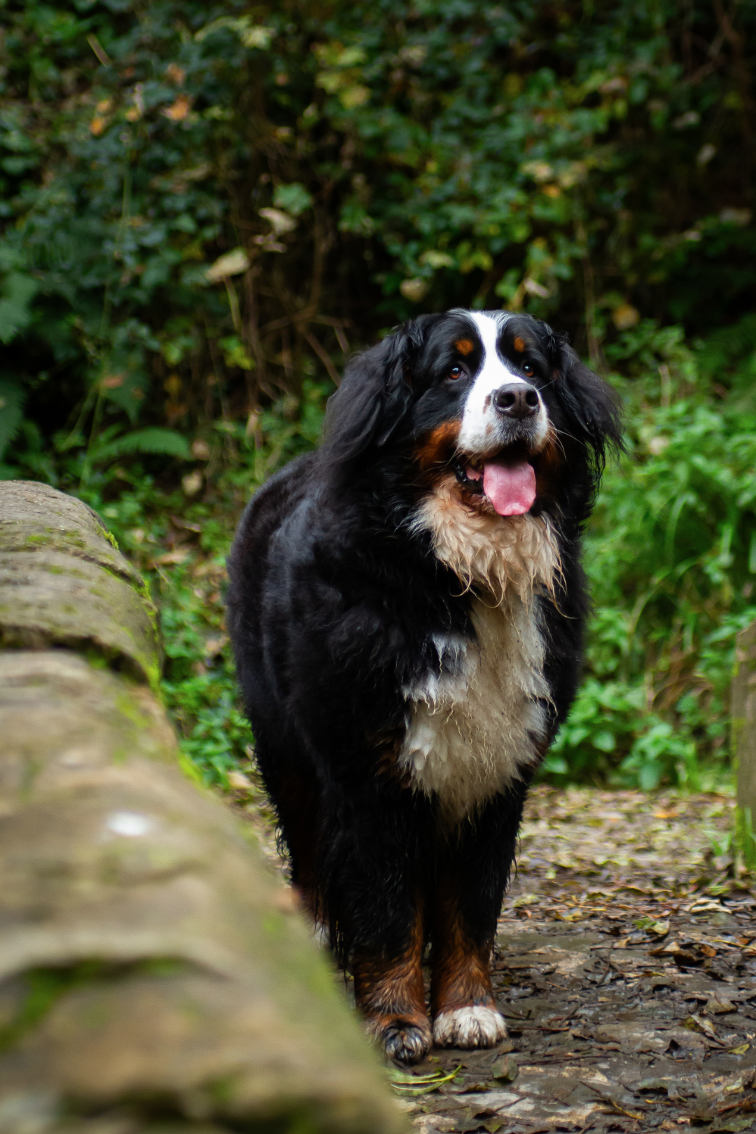 Screenshot 2024-10-25 at 10.23.43.png