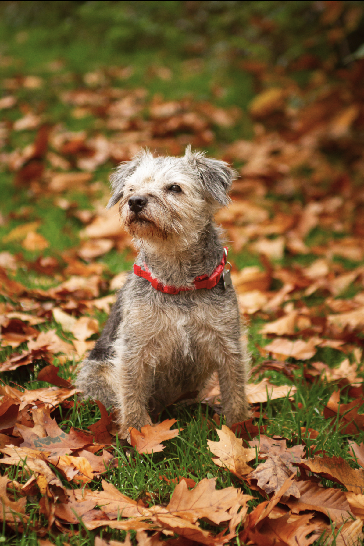 Screenshot 2024-11-13 at 13.53.02.png