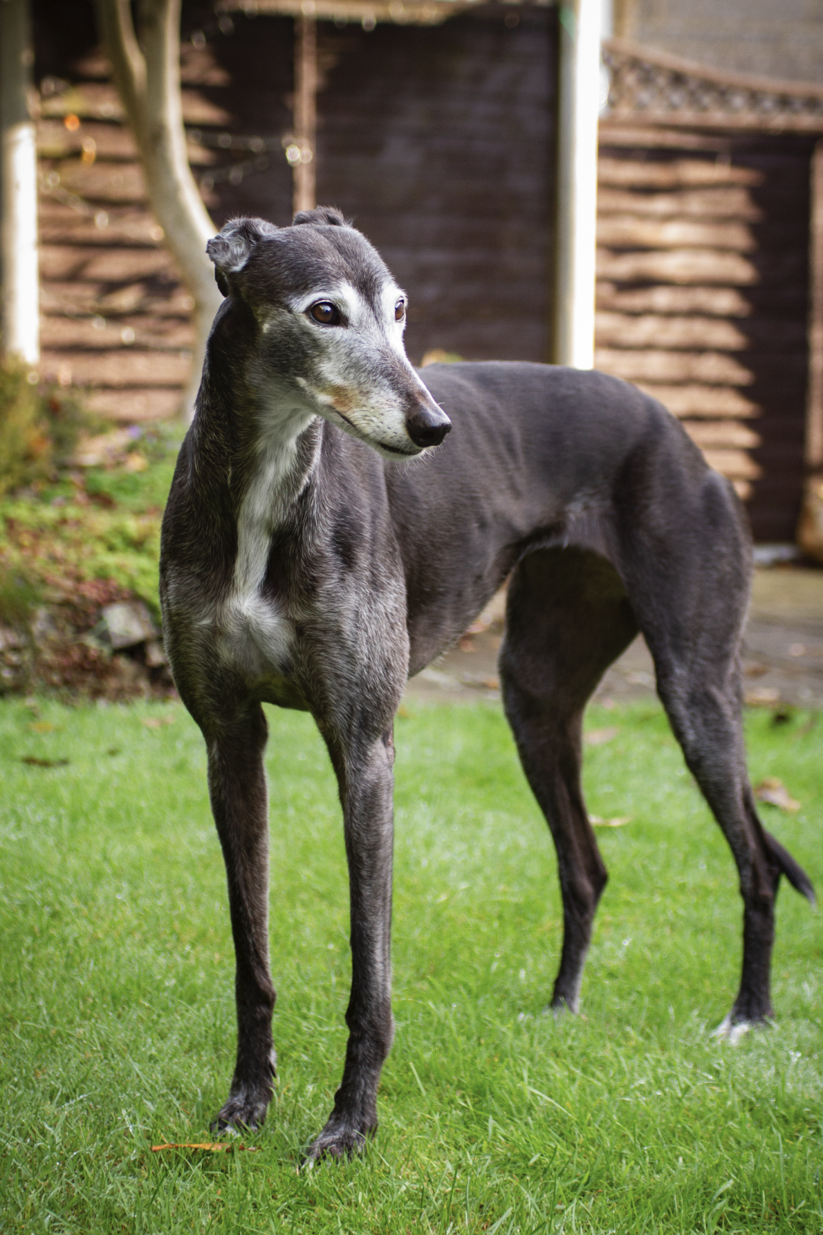 Screenshot 2024-11-04 at 16.23.33.png