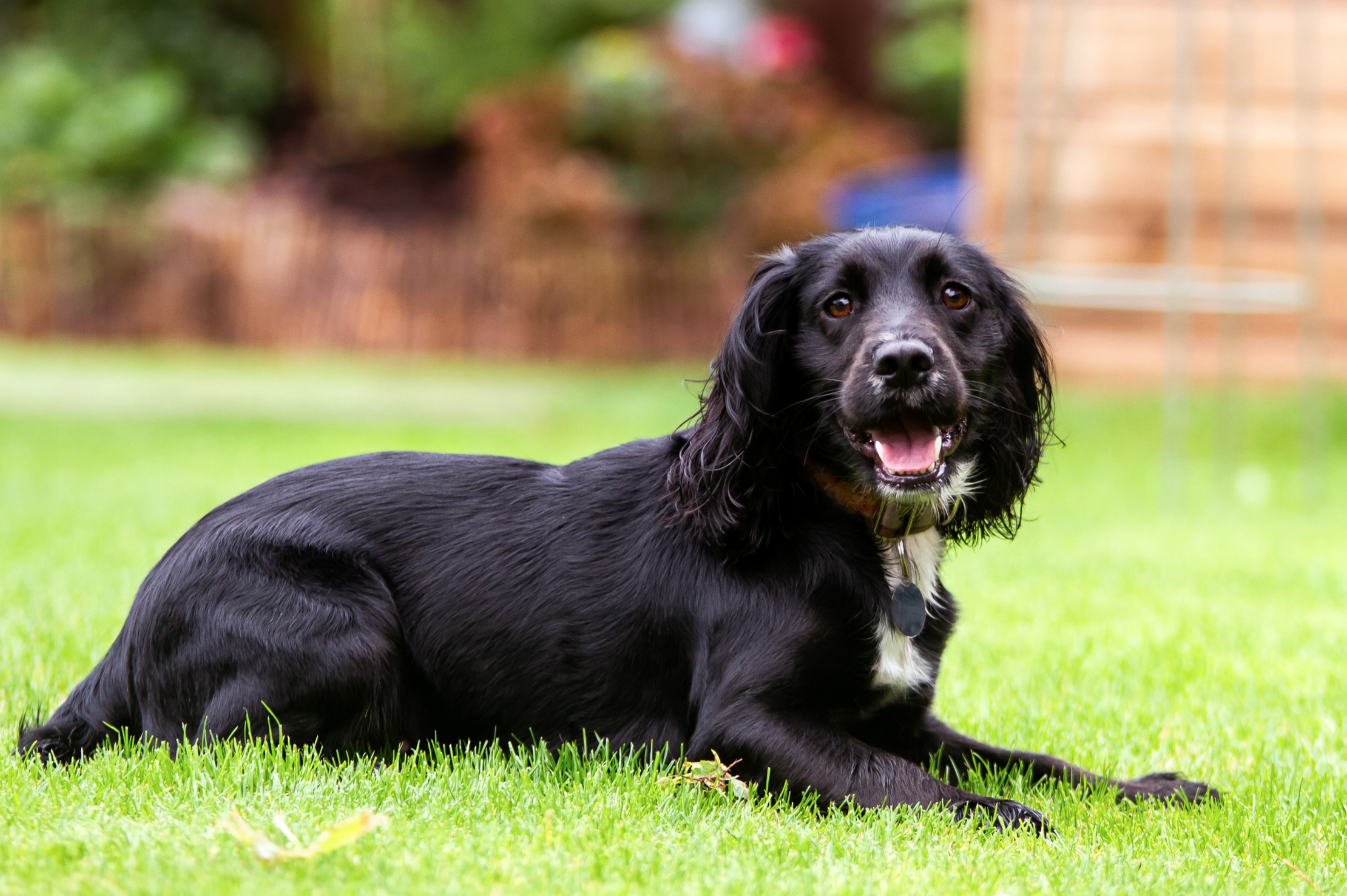 Screenshot 2024-10-08 at 12.41.48.png