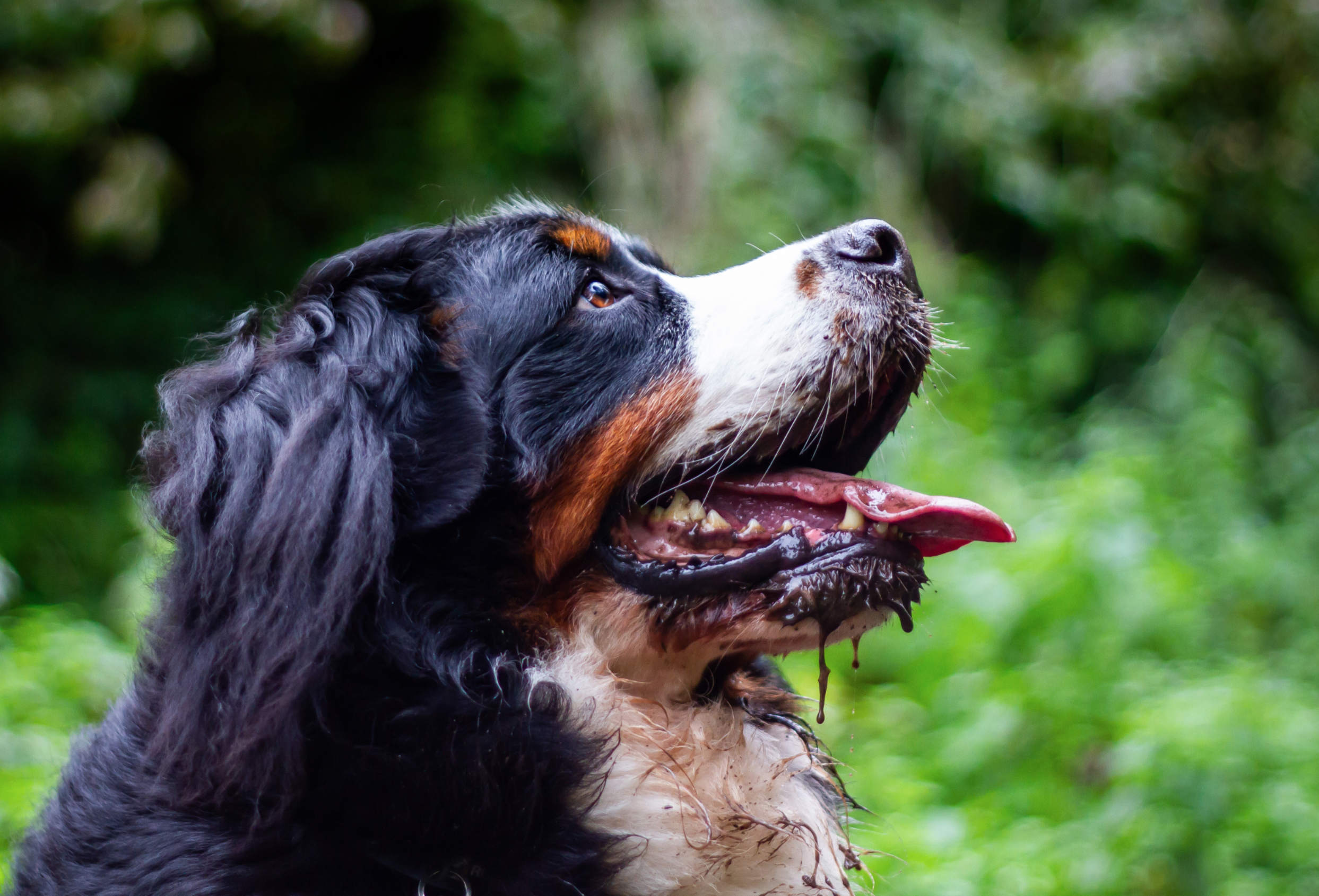 Screenshot 2024-10-25 at 10.23.06.png