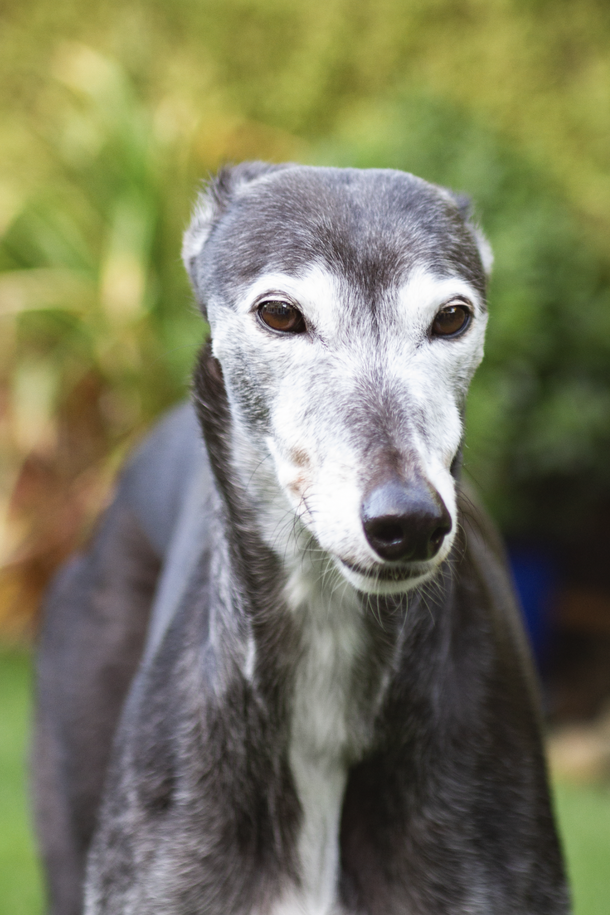 Screenshot 2024-11-04 at 16.23.46.png