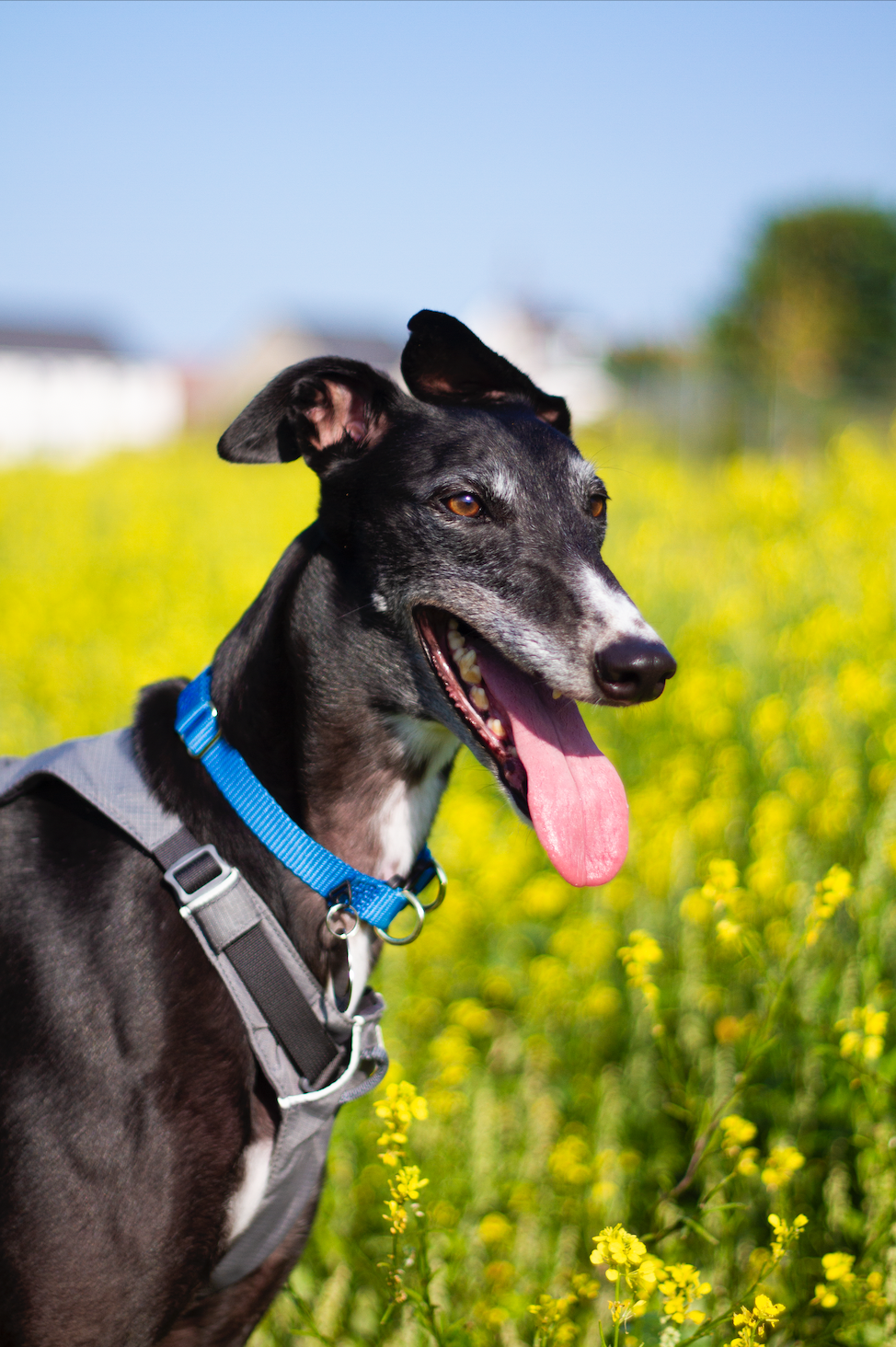 Screenshot 2021-07-17 at 09.05.42.png