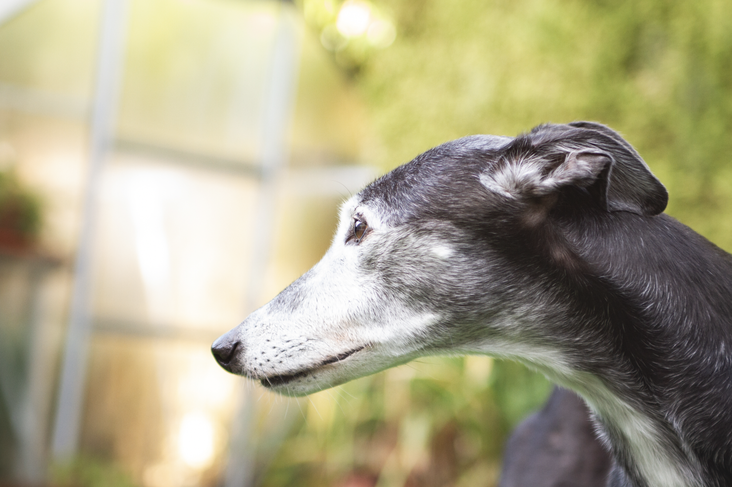 Screenshot 2024-11-04 at 16.24.18.png