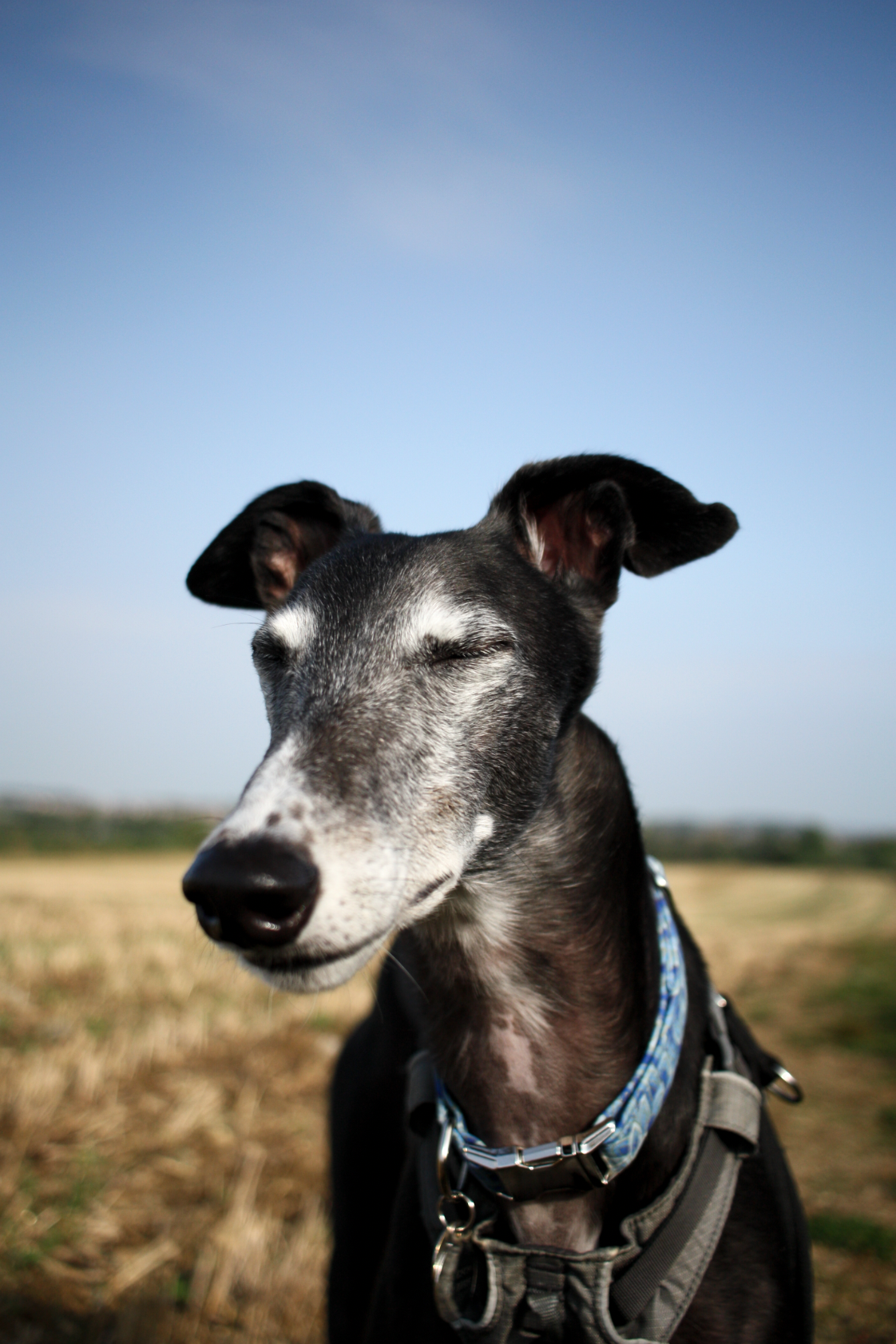 Screenshot 2024-10-07 at 17.17.55.png