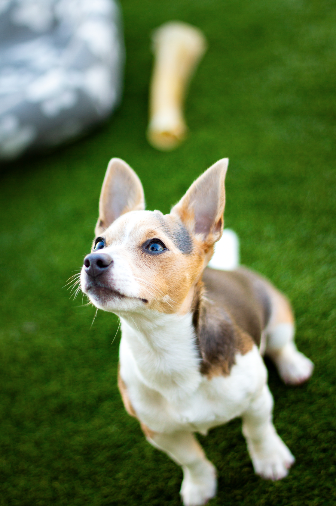 Screenshot 2024-10-08 at 14.19.31.png