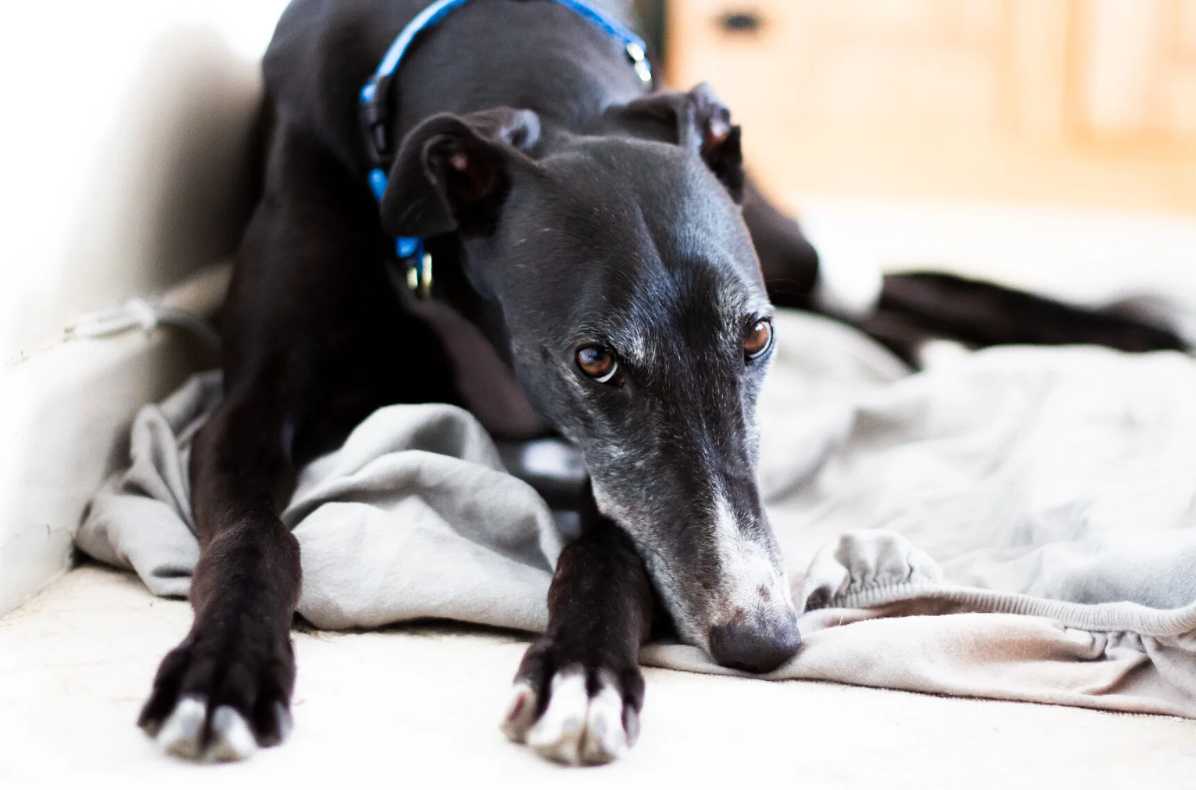 Screenshot 2021-06-23 at 23.36.53.jpg