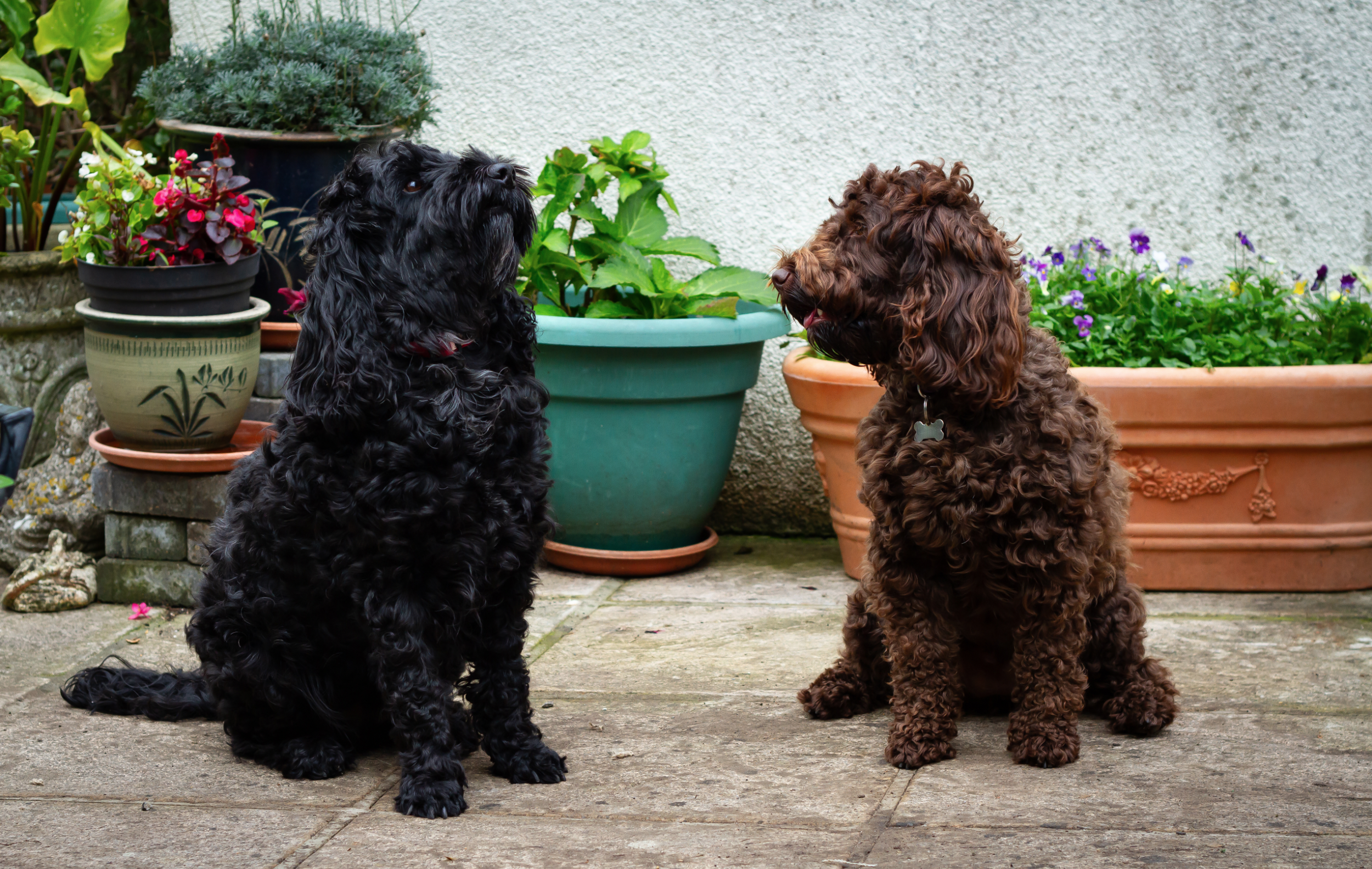 Screenshot 2024-10-08 at 13.02.30.png