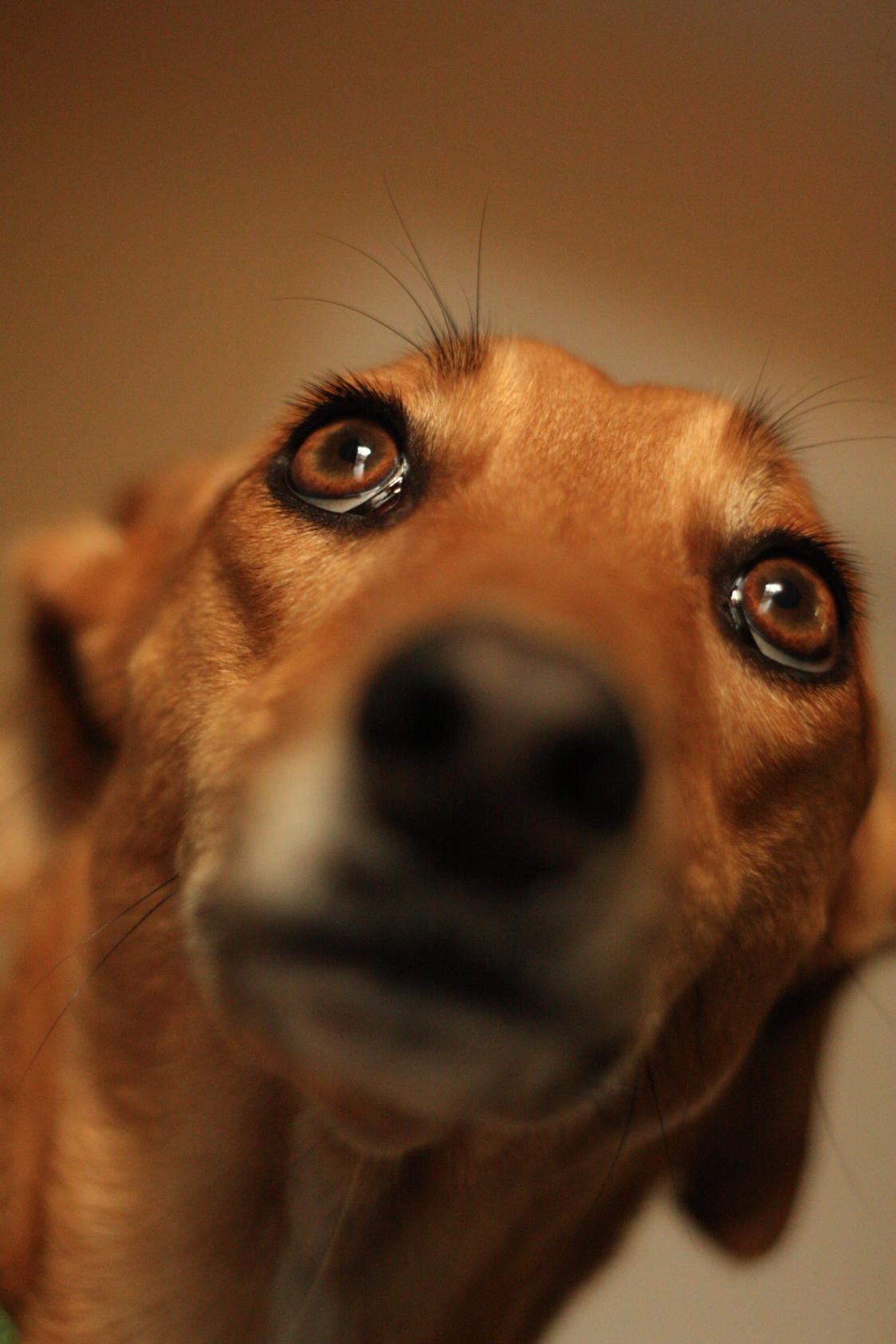 Screenshot 2024-10-11 at 12.09.47.png