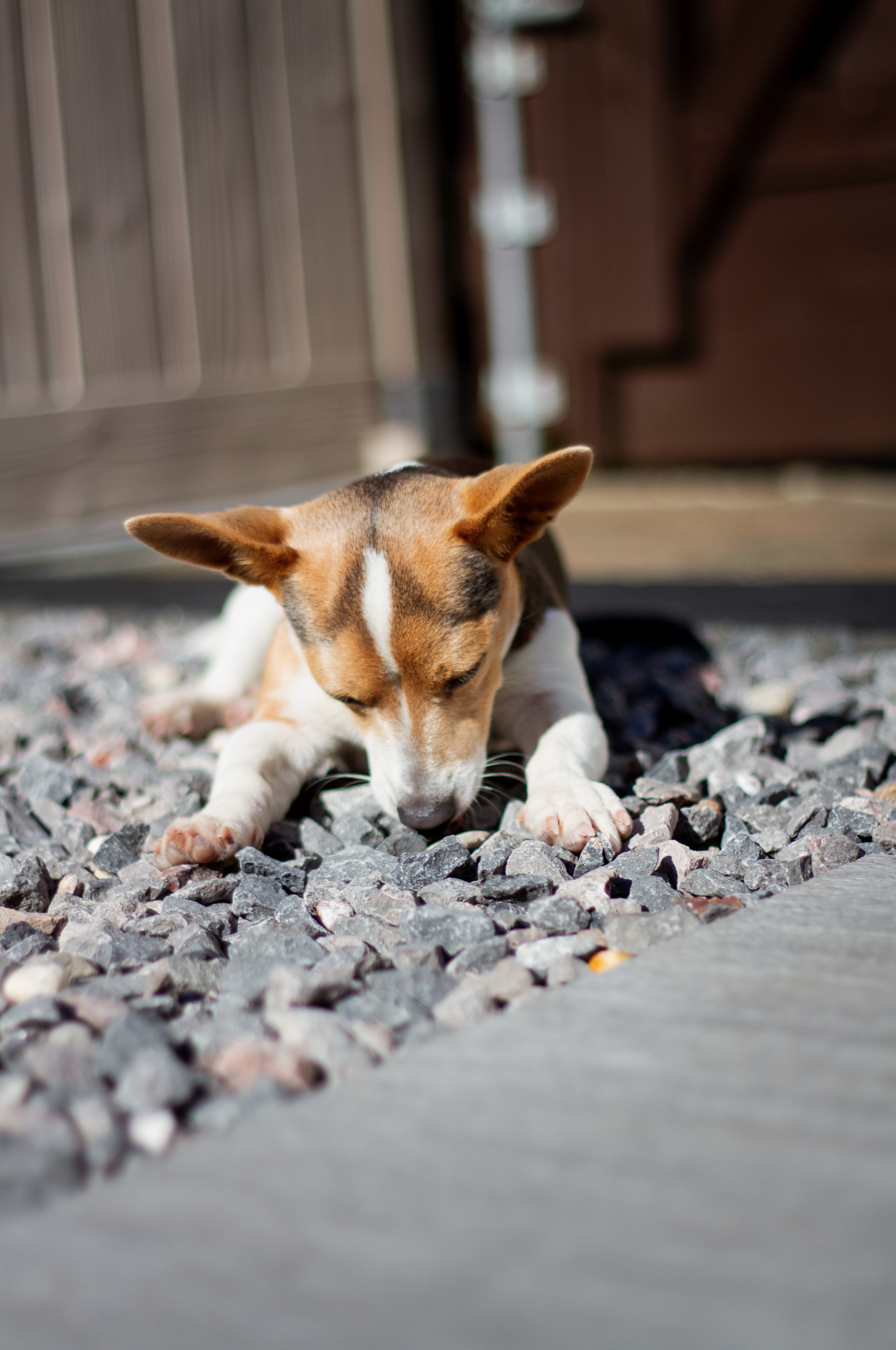 Screenshot 2024-10-08 at 14.20.32.png