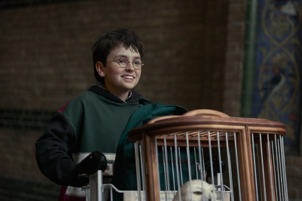 Yer a Wizard, Harry — Again: Meet the Full Cast of HBO's Harry Potter
