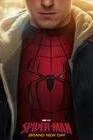 Spider-Man: Brand New Spider-Man: Brand New Day' Is the Comic Book Movie We Needed This Summer