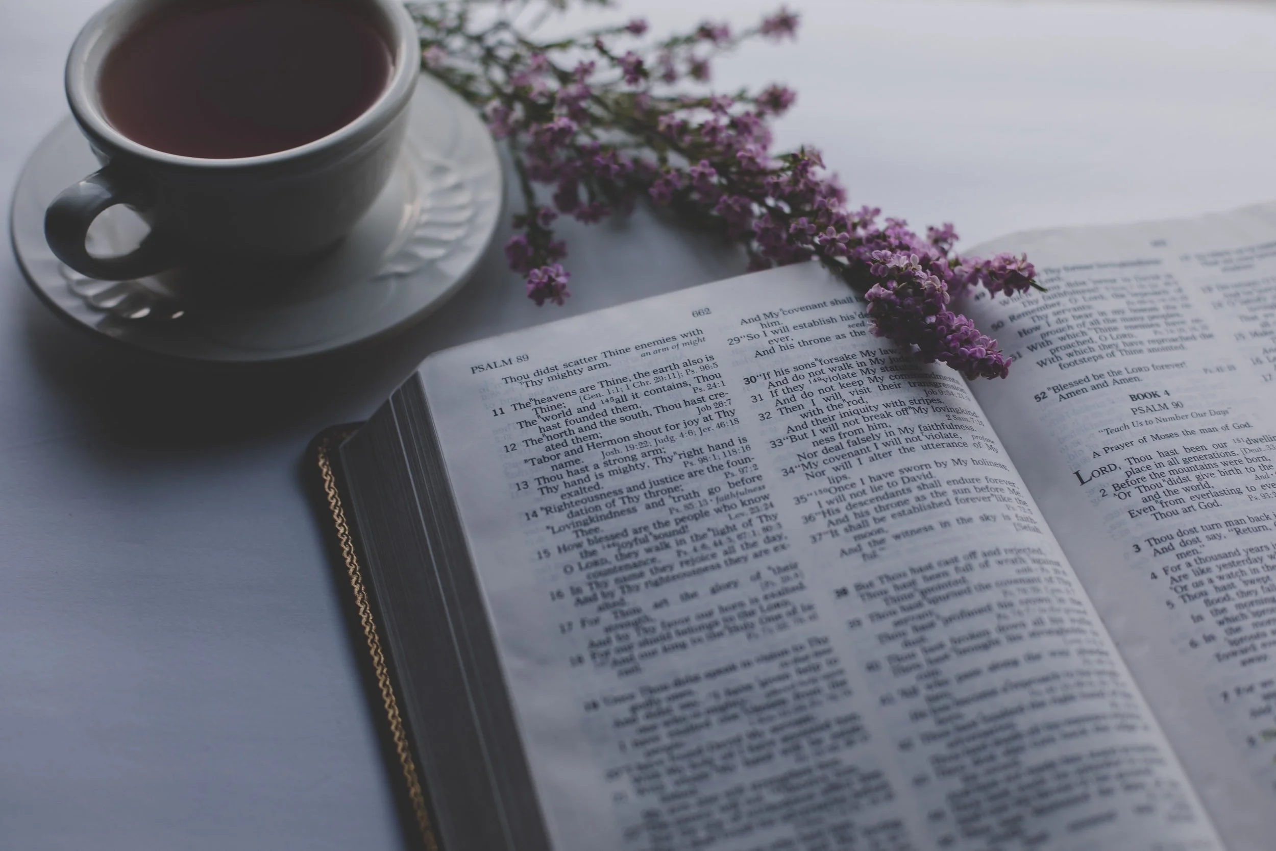 Come, Follow Me: Old Testament - Genesis 3–4; Moses 4–5