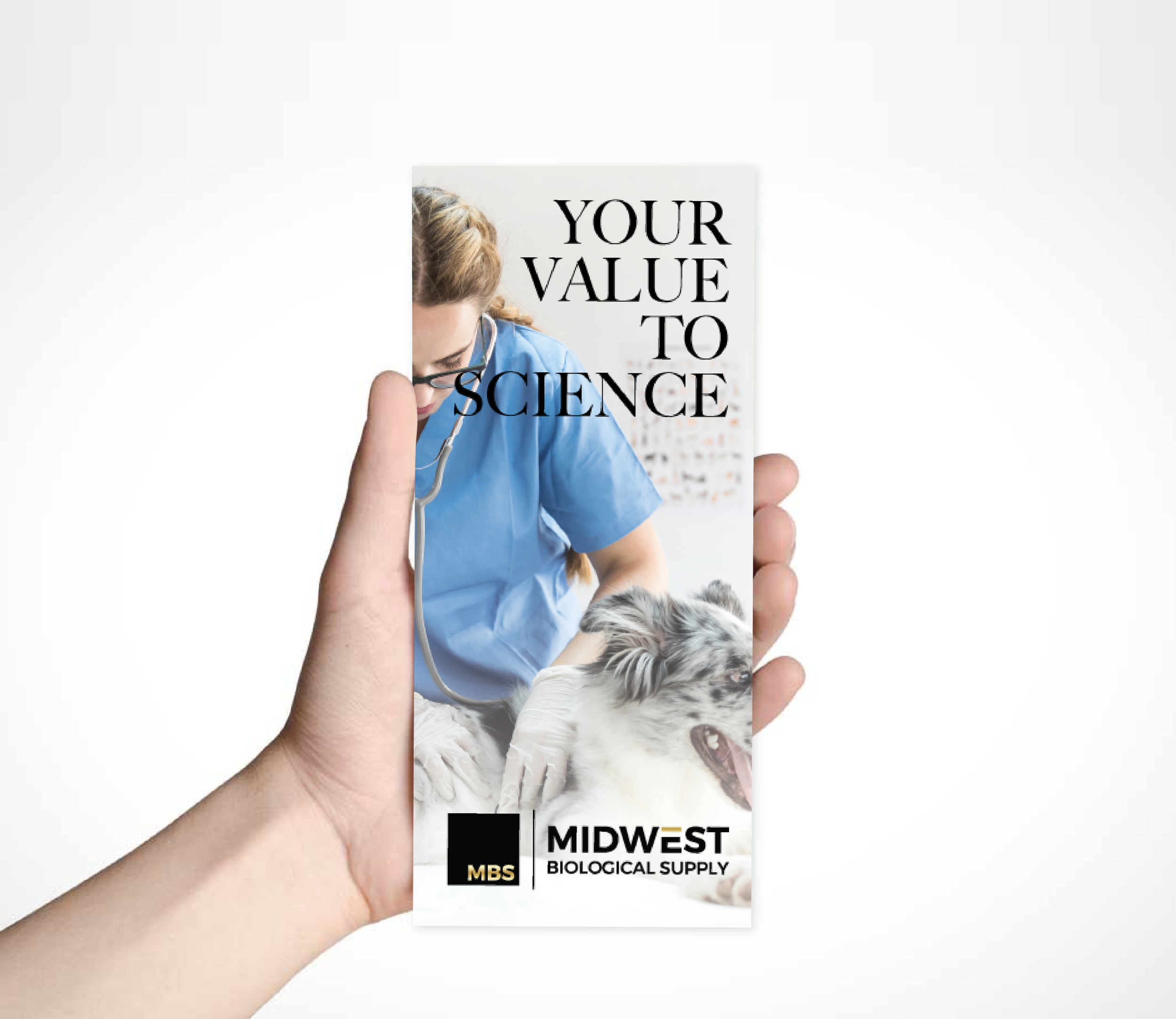 Midwest Flyer.png