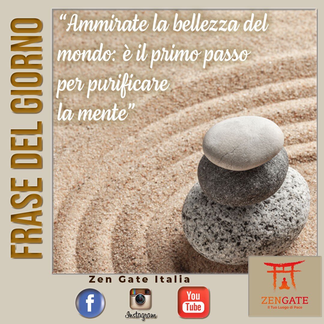 Frase del Giorno...
Scopri la vasta libreria di Video sulla Meditazione
Guidata sul nostro canale di YouTube e dai il tuo
supporto iscrivendoti e seguendoci sui Social per non
perderti le ultime uscite.
#meditazionezen #meditazione #aforismi #aforism