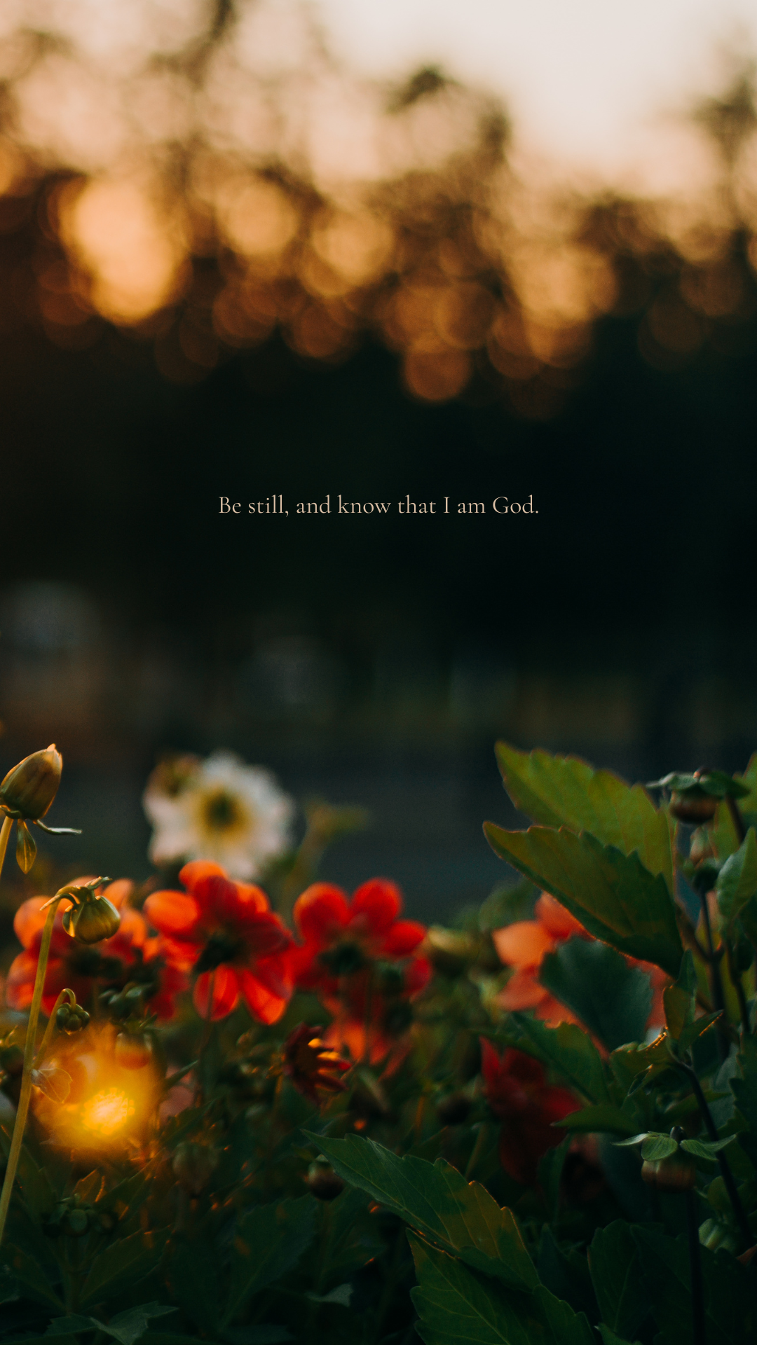 What No One Tells You About Waiting Seasons