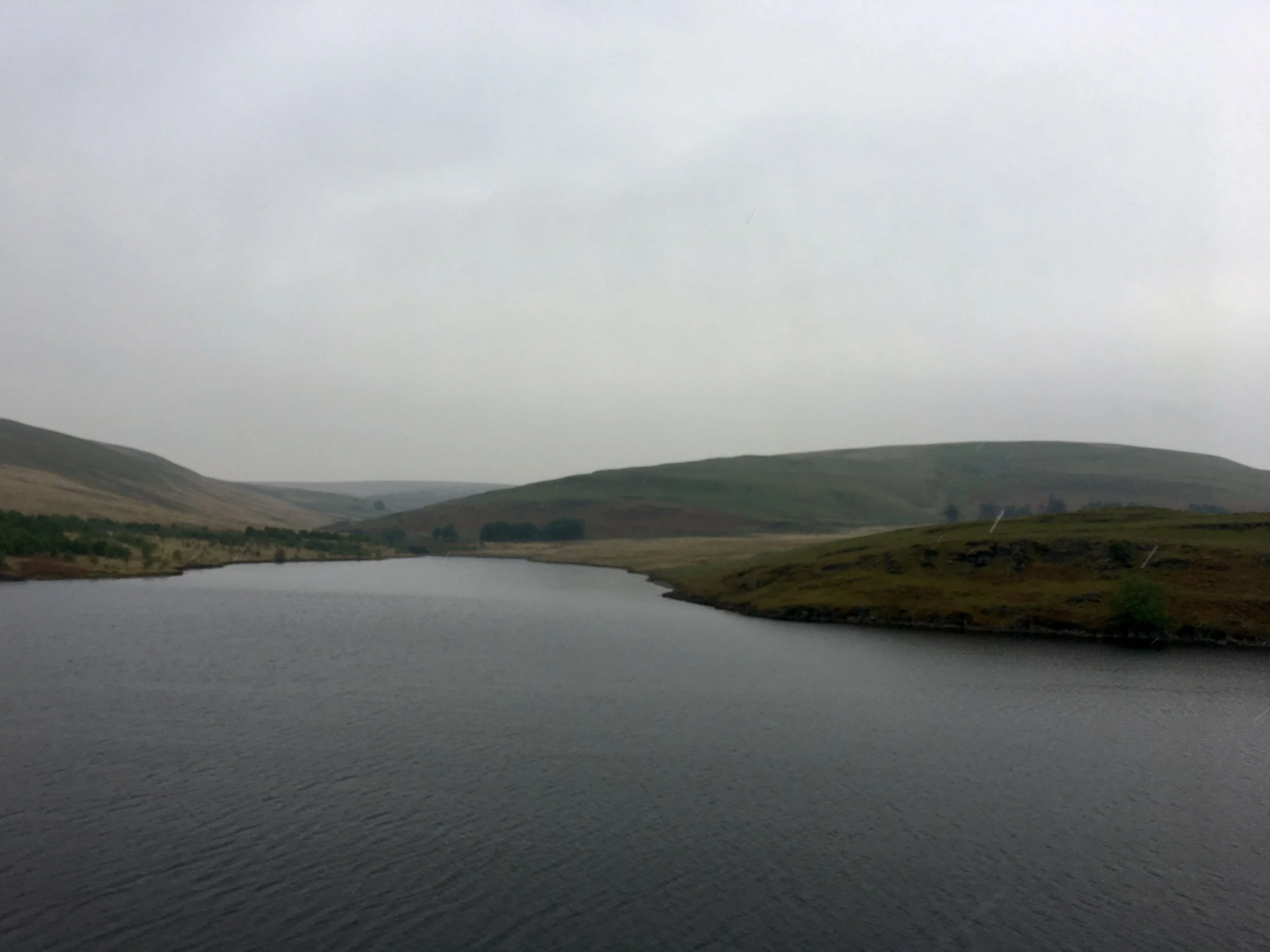 Leaps of Faith in 2026