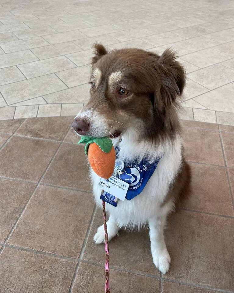 Great job Linda and Fenway today at PEDS and Women&rsquo;s Health!