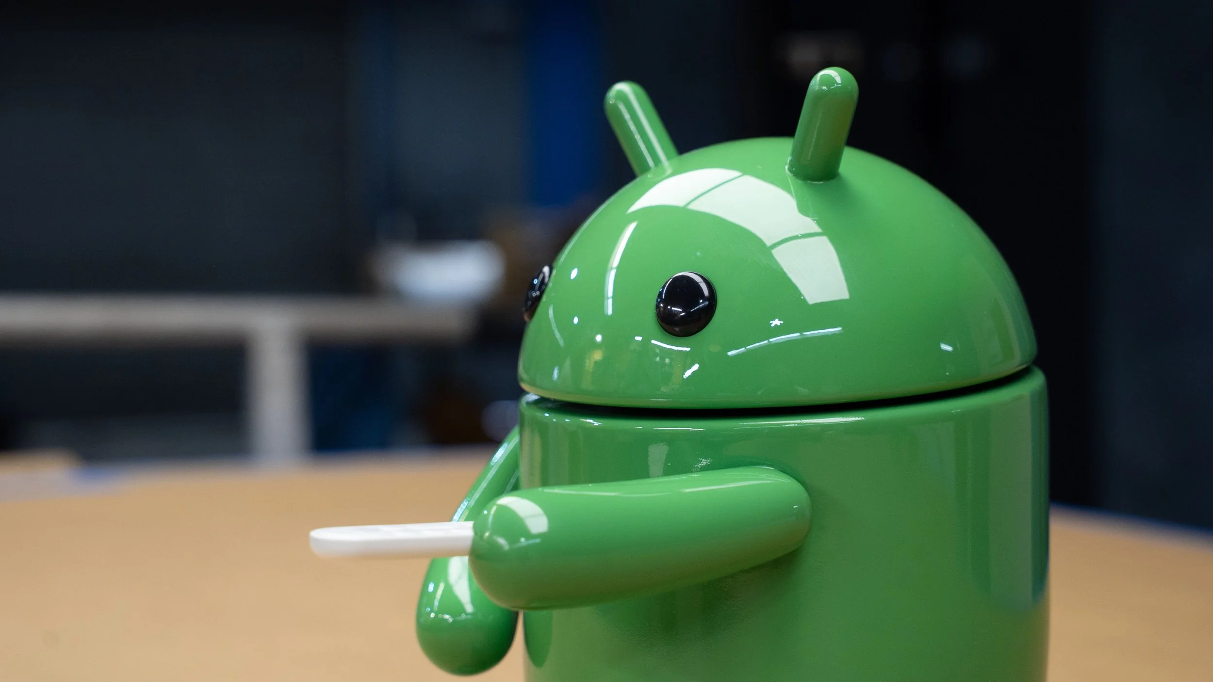 Google Bot_0000_DSC01561.jpg