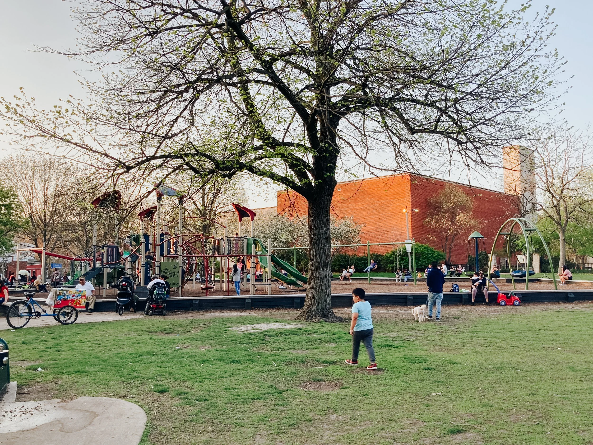 Local Playground-2.jpg