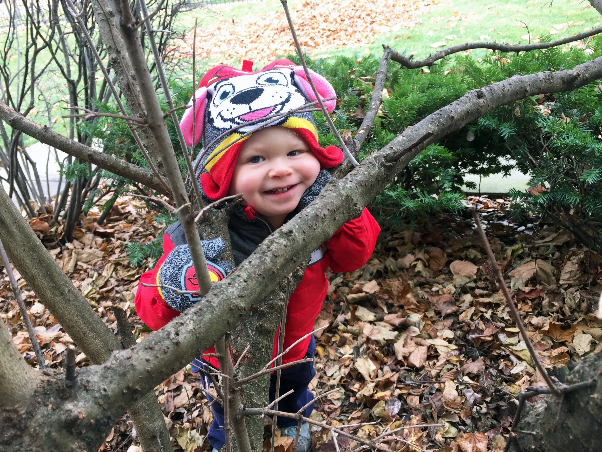 Hal in one of his secret hiding places in the yard..jpg