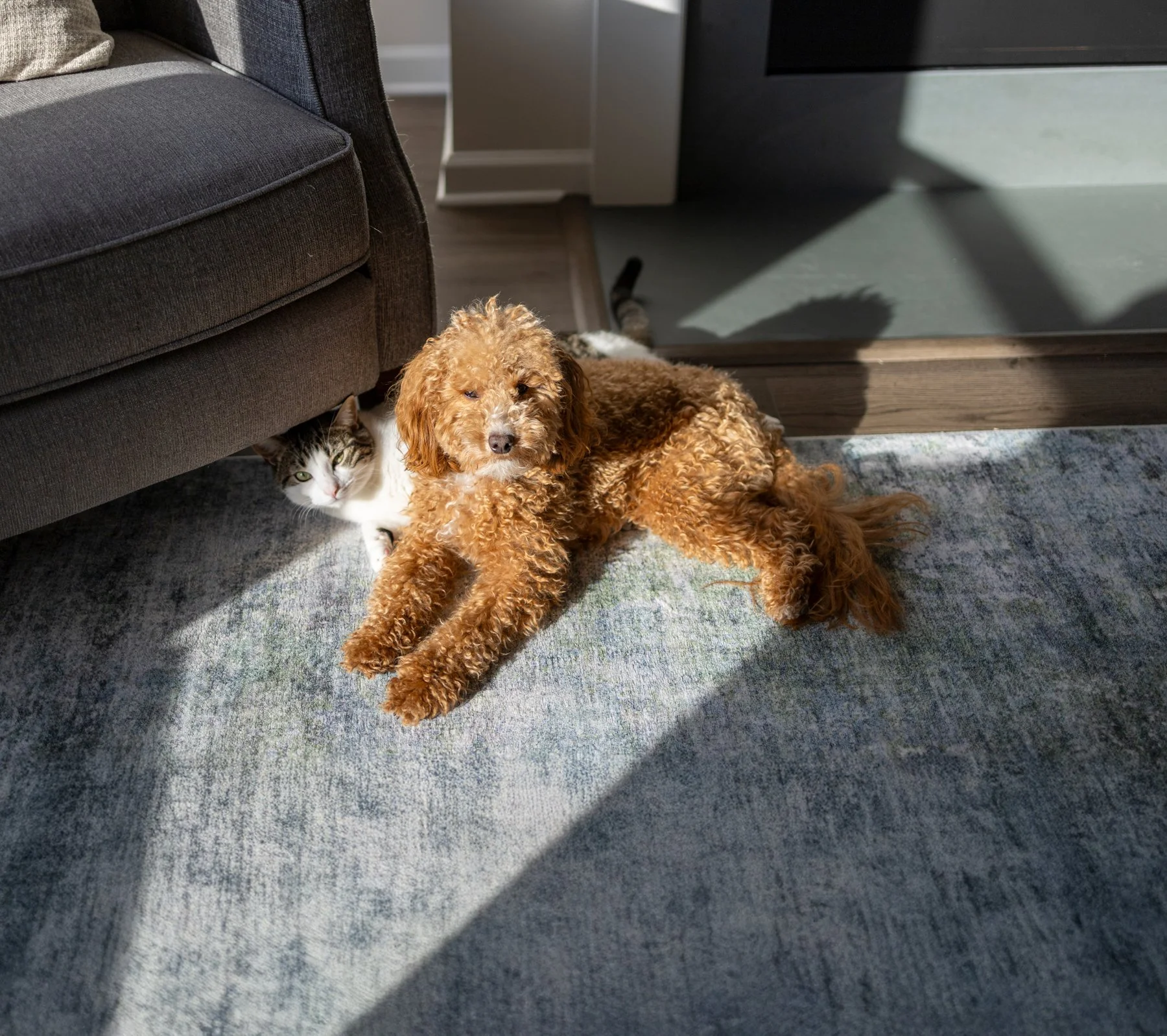 Georgia and Kirby are best buds copy.jpg