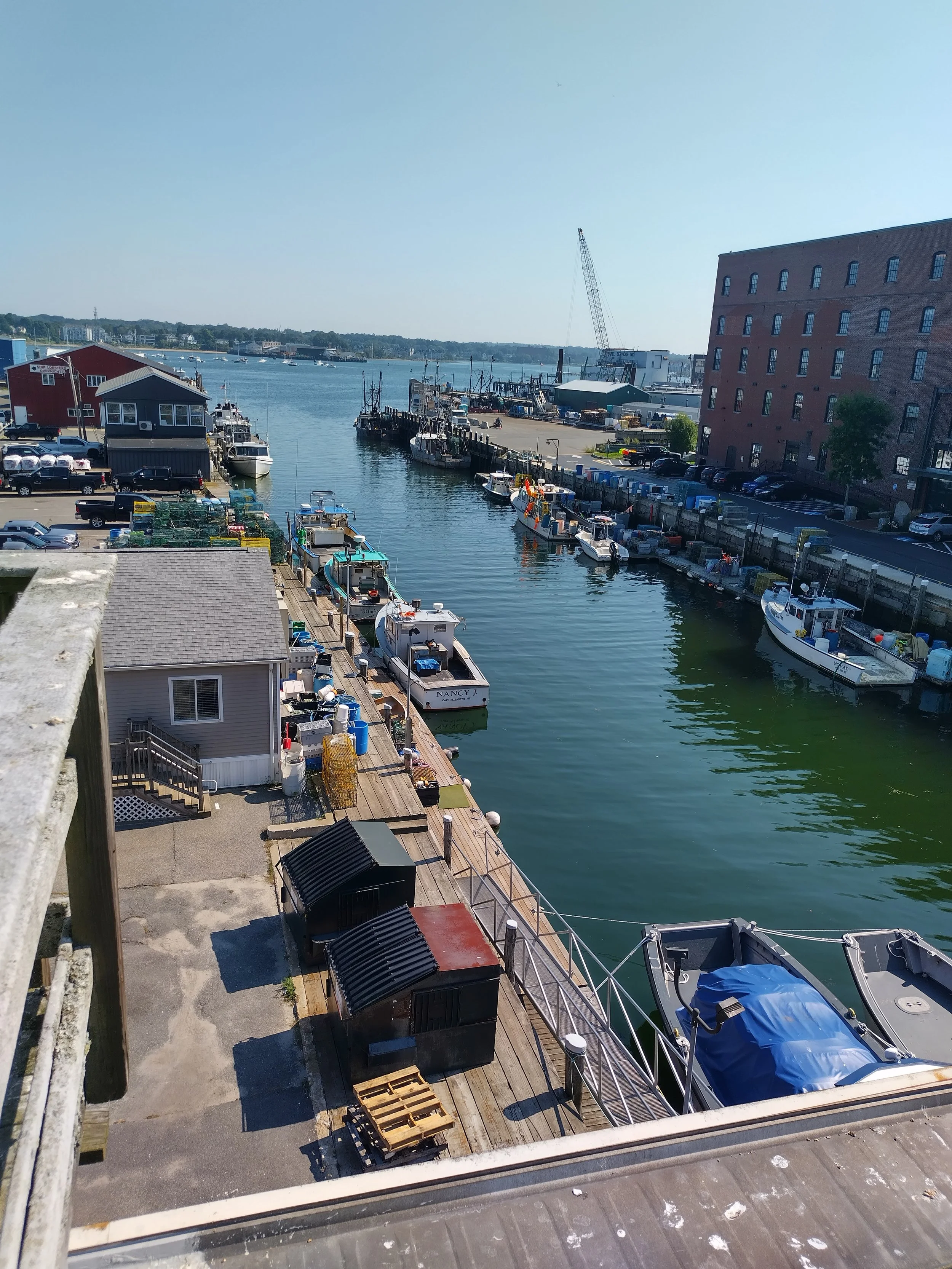The Pier in our Hometown.jpg