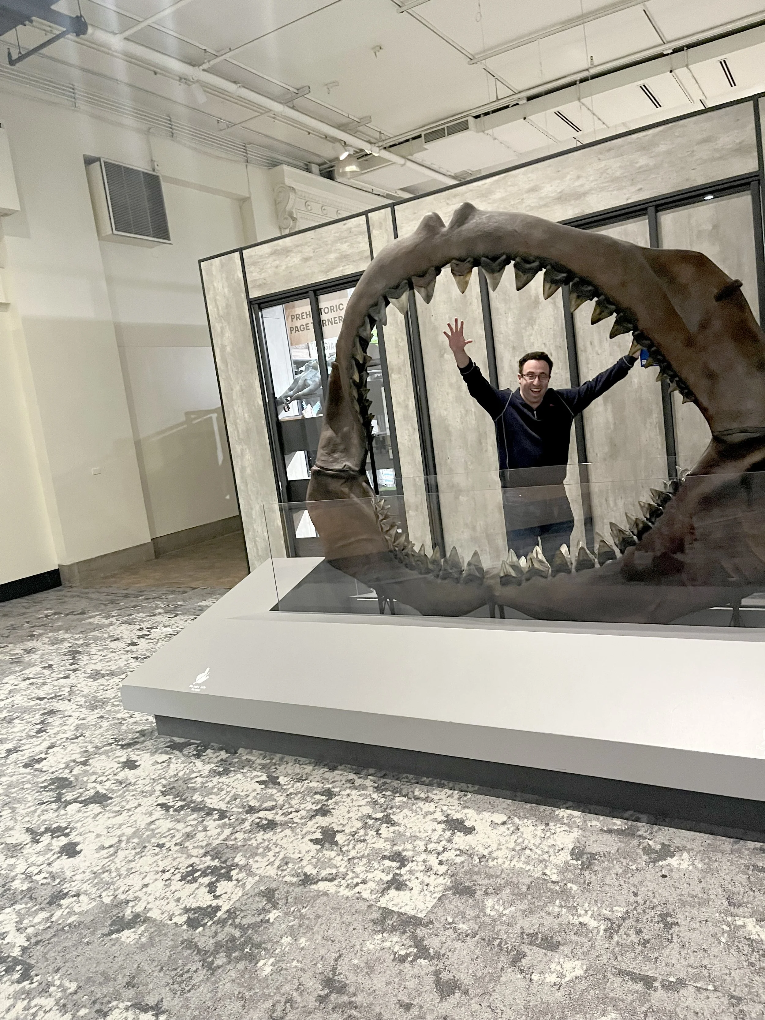 Bryan Exploring the Dinosaurs at the Field Museum copy.jpg