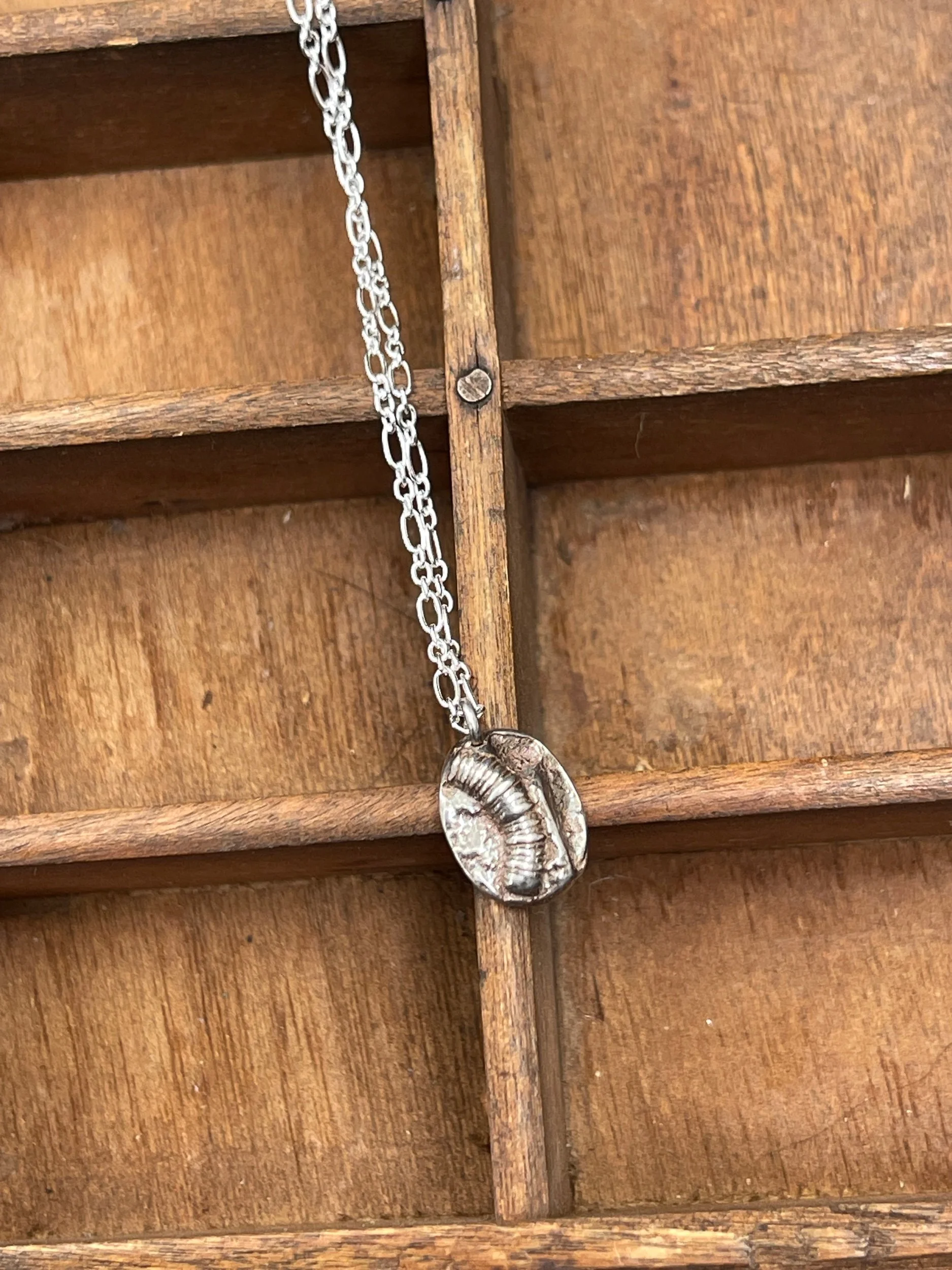 Ready to Ship ~ Crinoid Fossil 18" Necklace - Silver, Bronze, or Copper